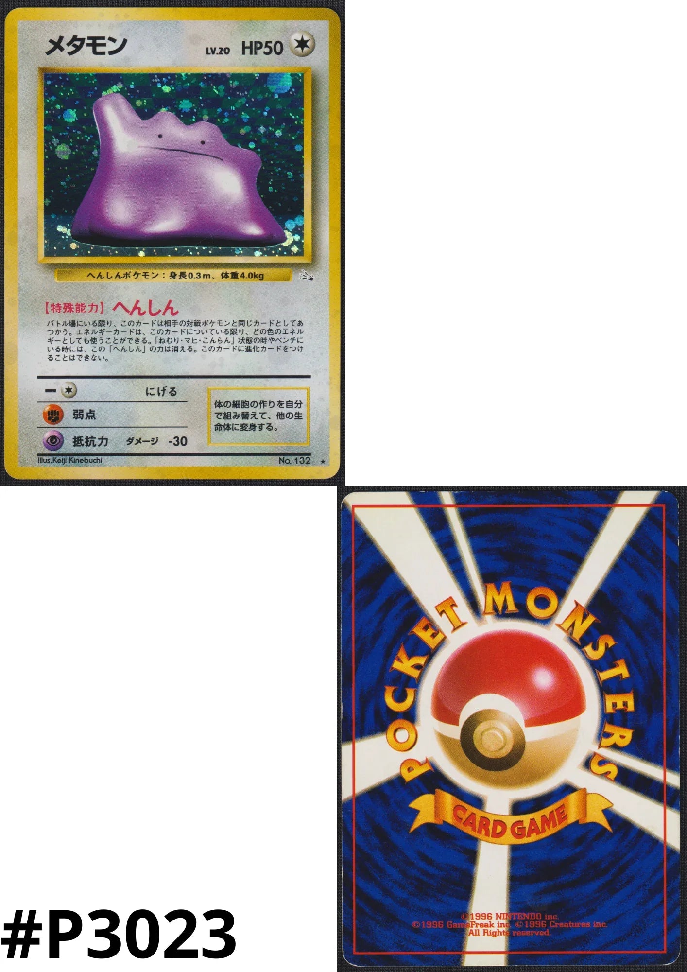 Ditto No.132 | Fossil - ChitoroShop