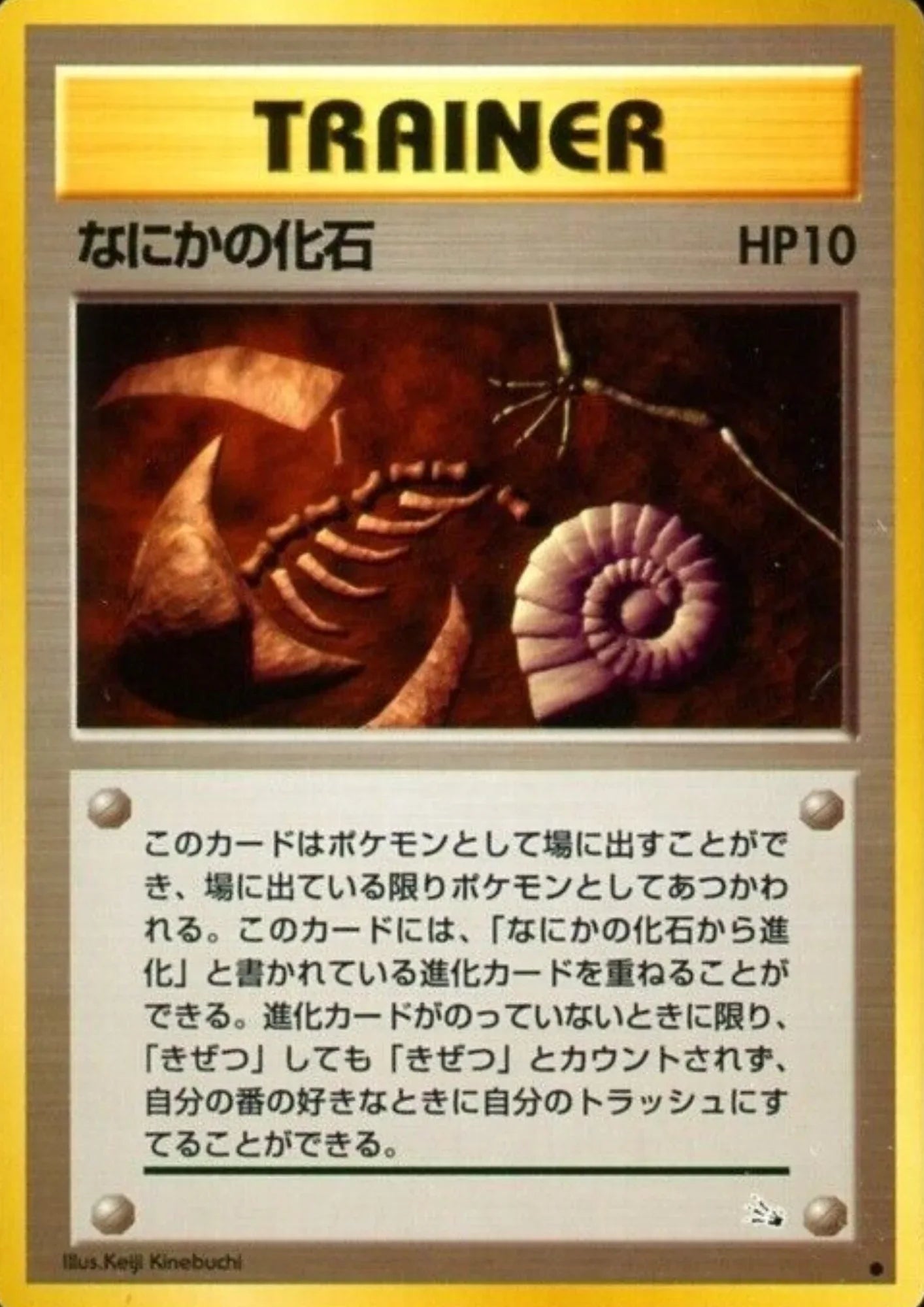 Mysterious Fossil | TRAINER | Fossil - ChitoroShop