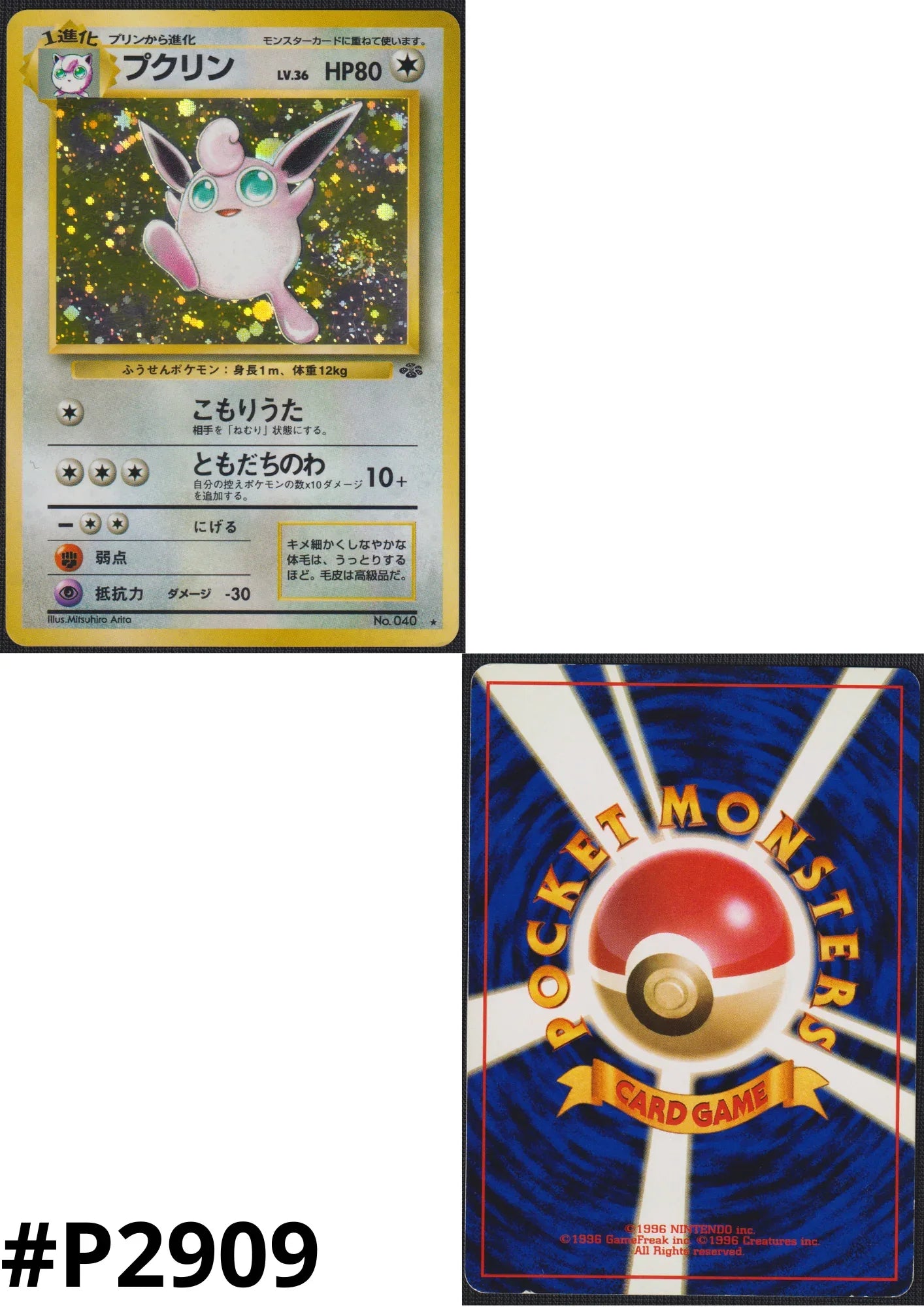 Wigglytuff No.040 | Jungle - ChitoroShop