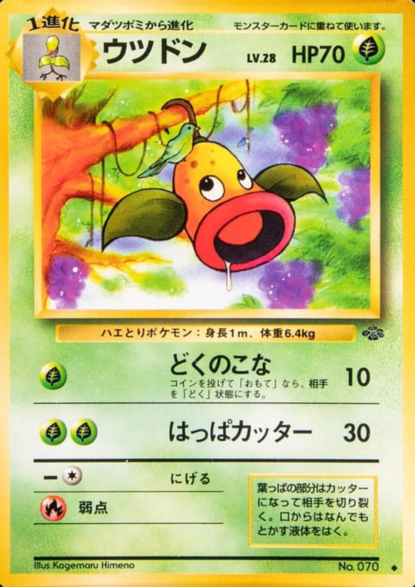 Weepinbel no.070 | Jungle - ChitoroShop