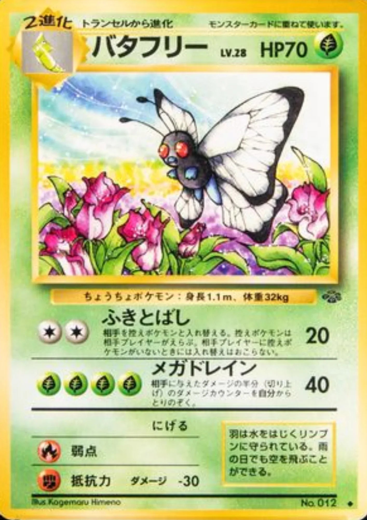 Butterfree No.012 | Jungle - ChitoroShop