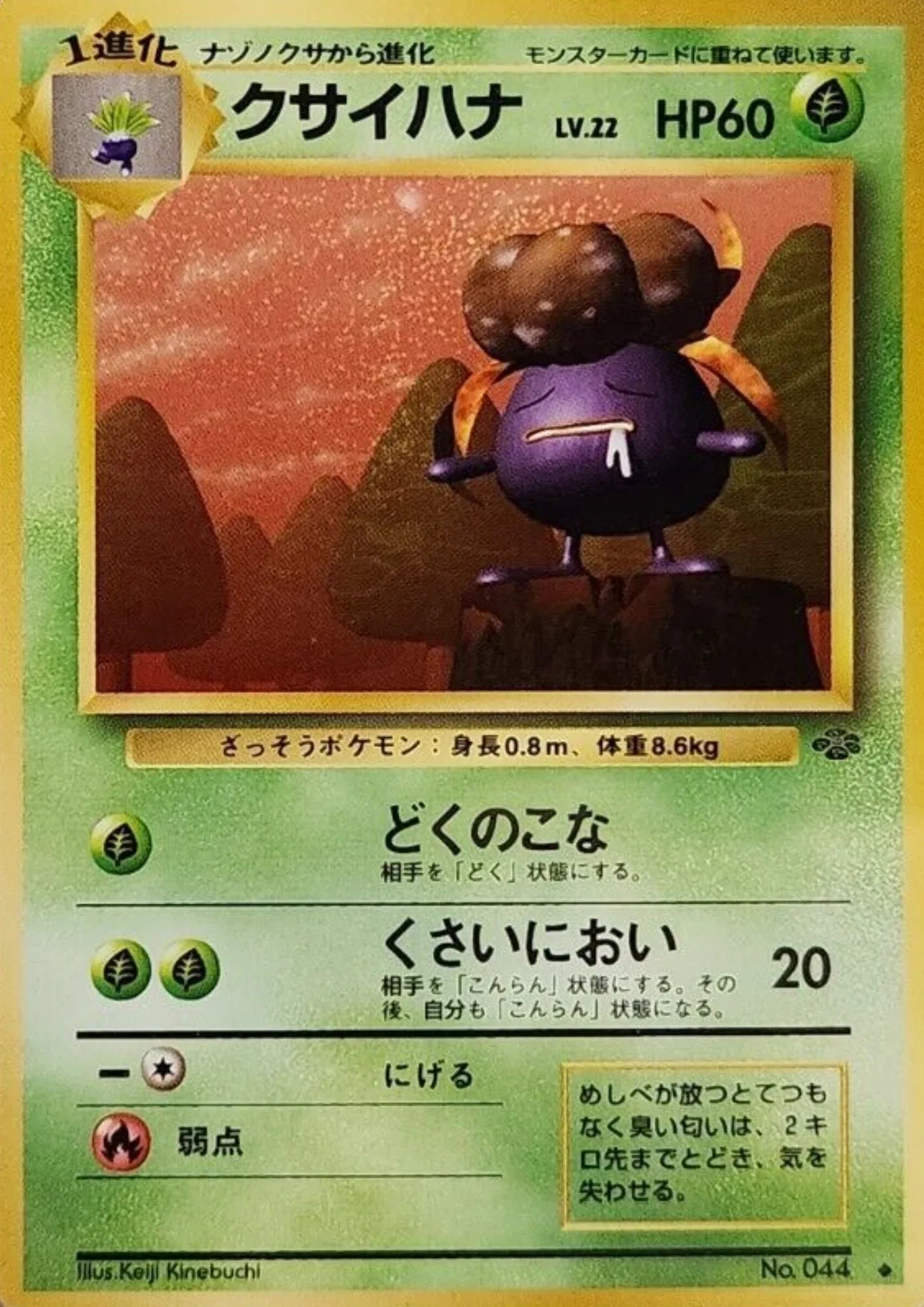 Gloom No.044 | Jungle - ChitoroShop