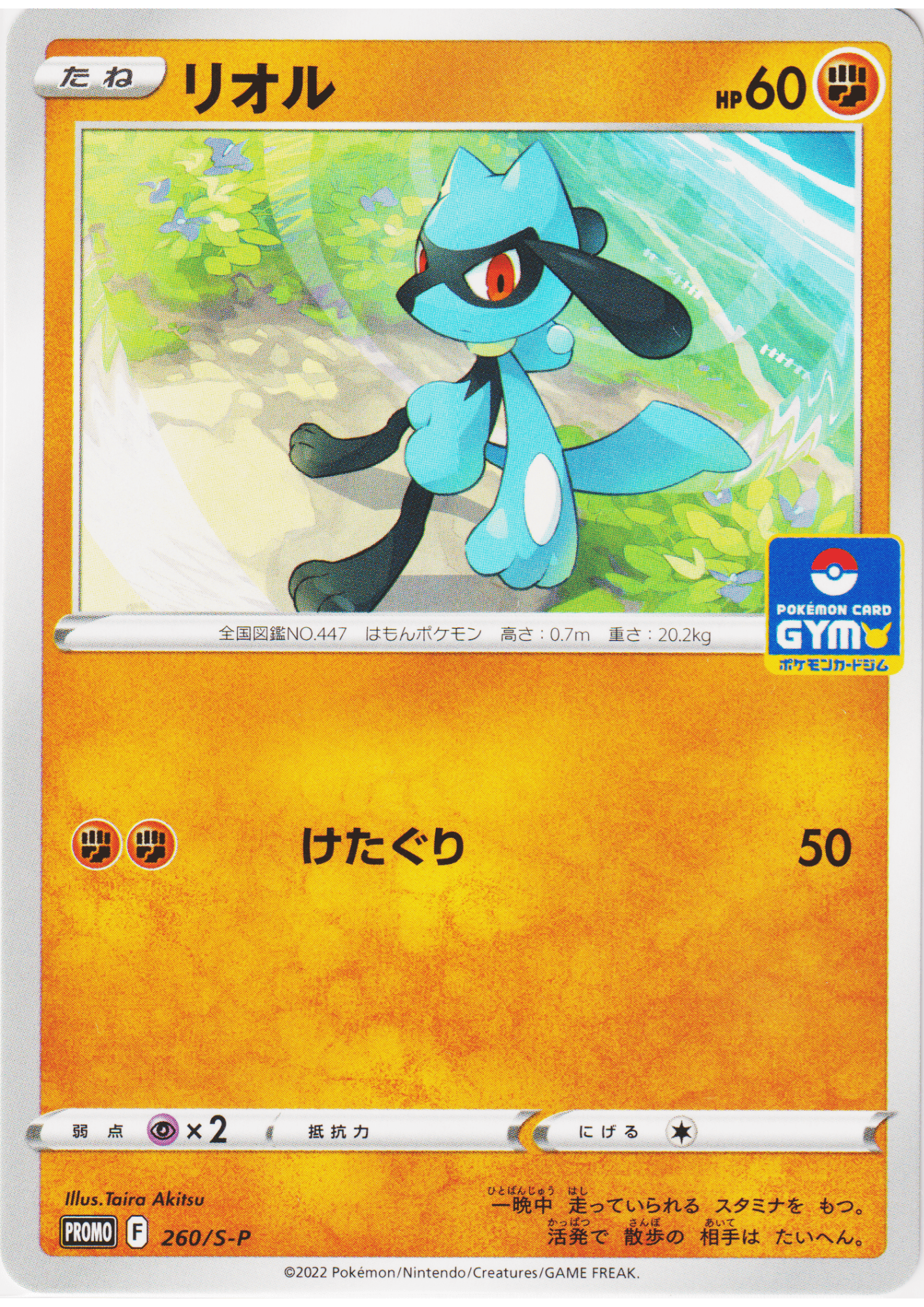 Riolu 260/s-p | Sword and Shield Promo