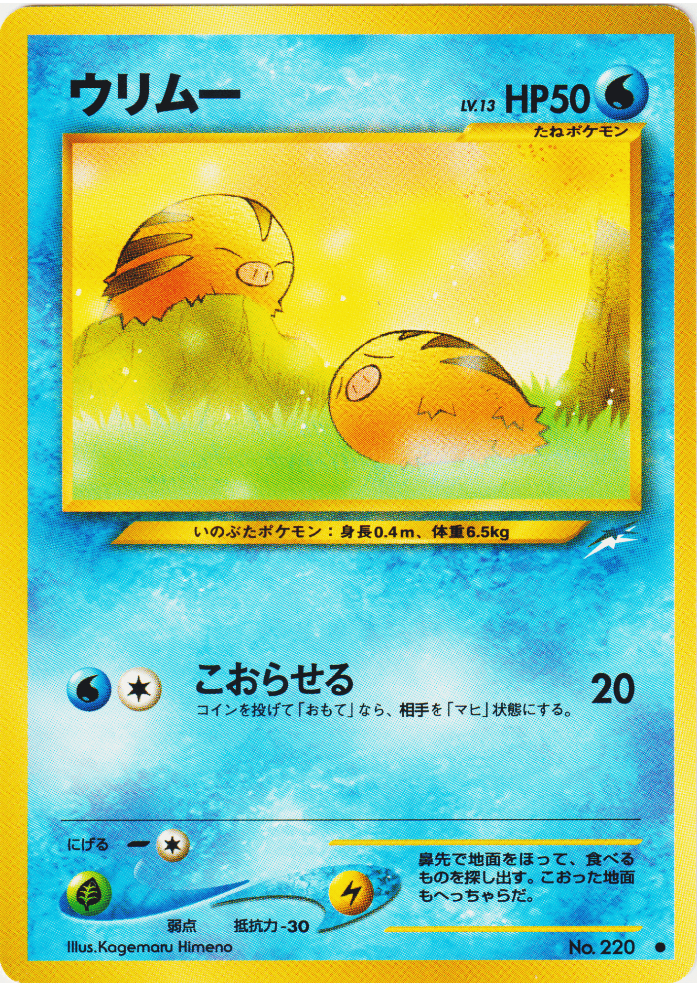 Swinub No.220 | Neo Destiny