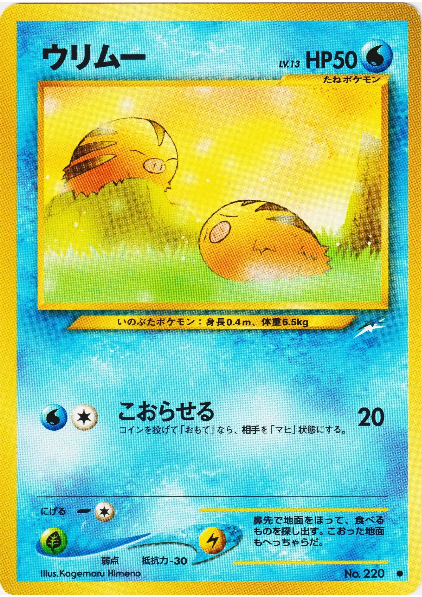 Swinub No.220 | Neo Destiny - ChitoroShop