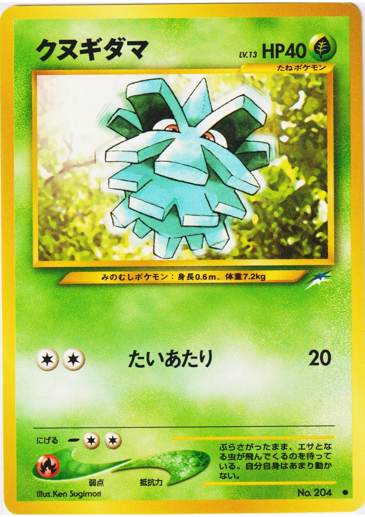 Pineco No.204 | Neo Destiny - ChitoroShop