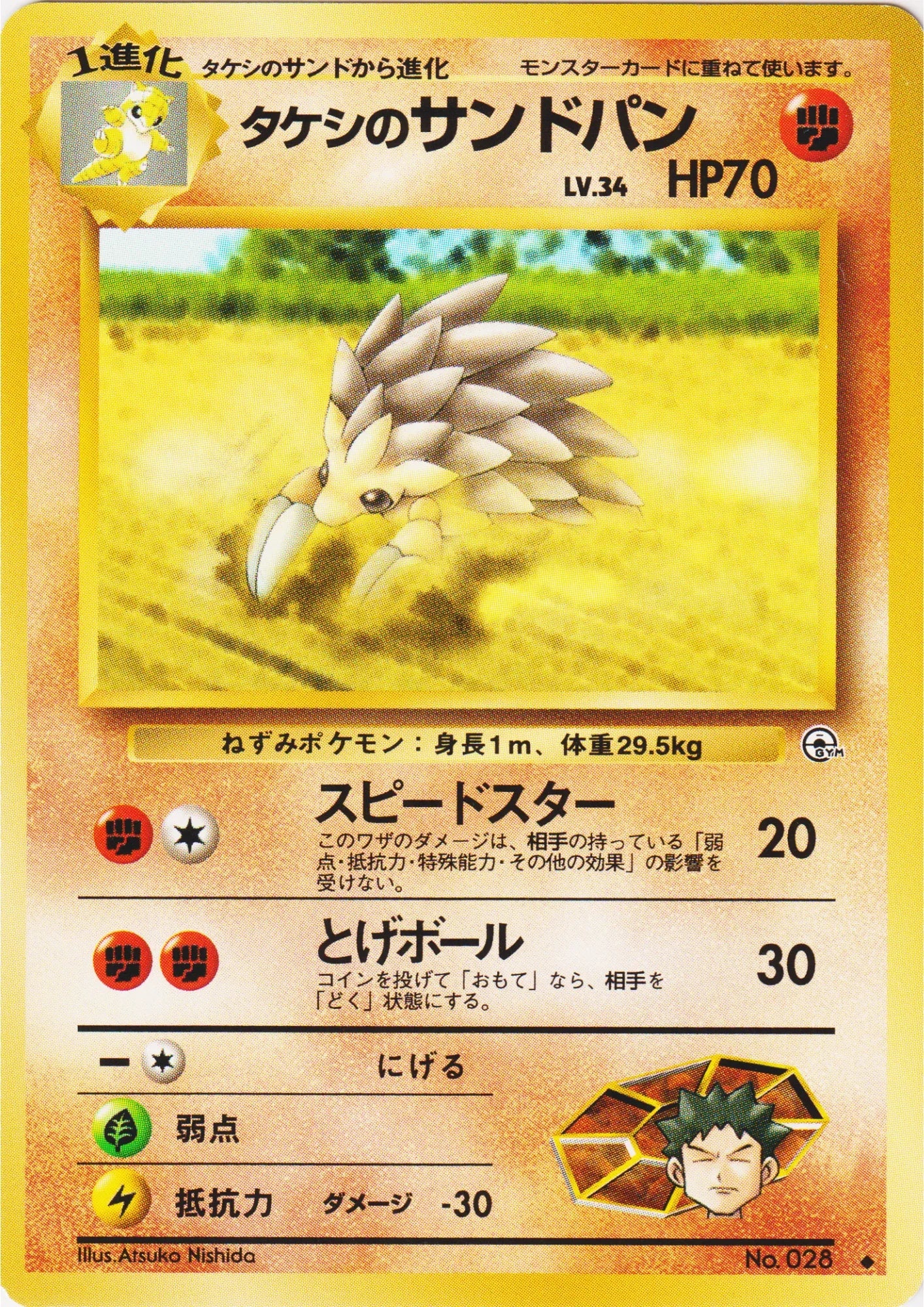 Brock's Sandslash No.028 | Leader Stadium - ChitoroShop