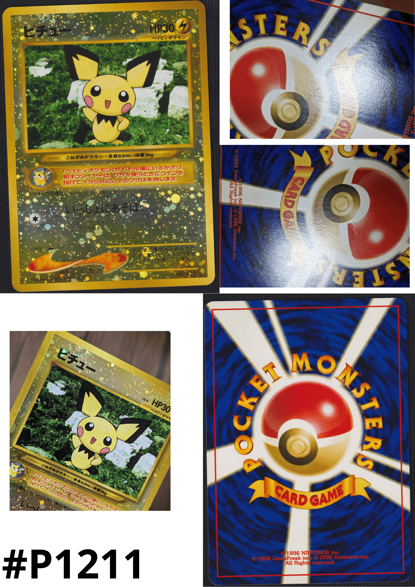 Pichu No.172 | Premium File