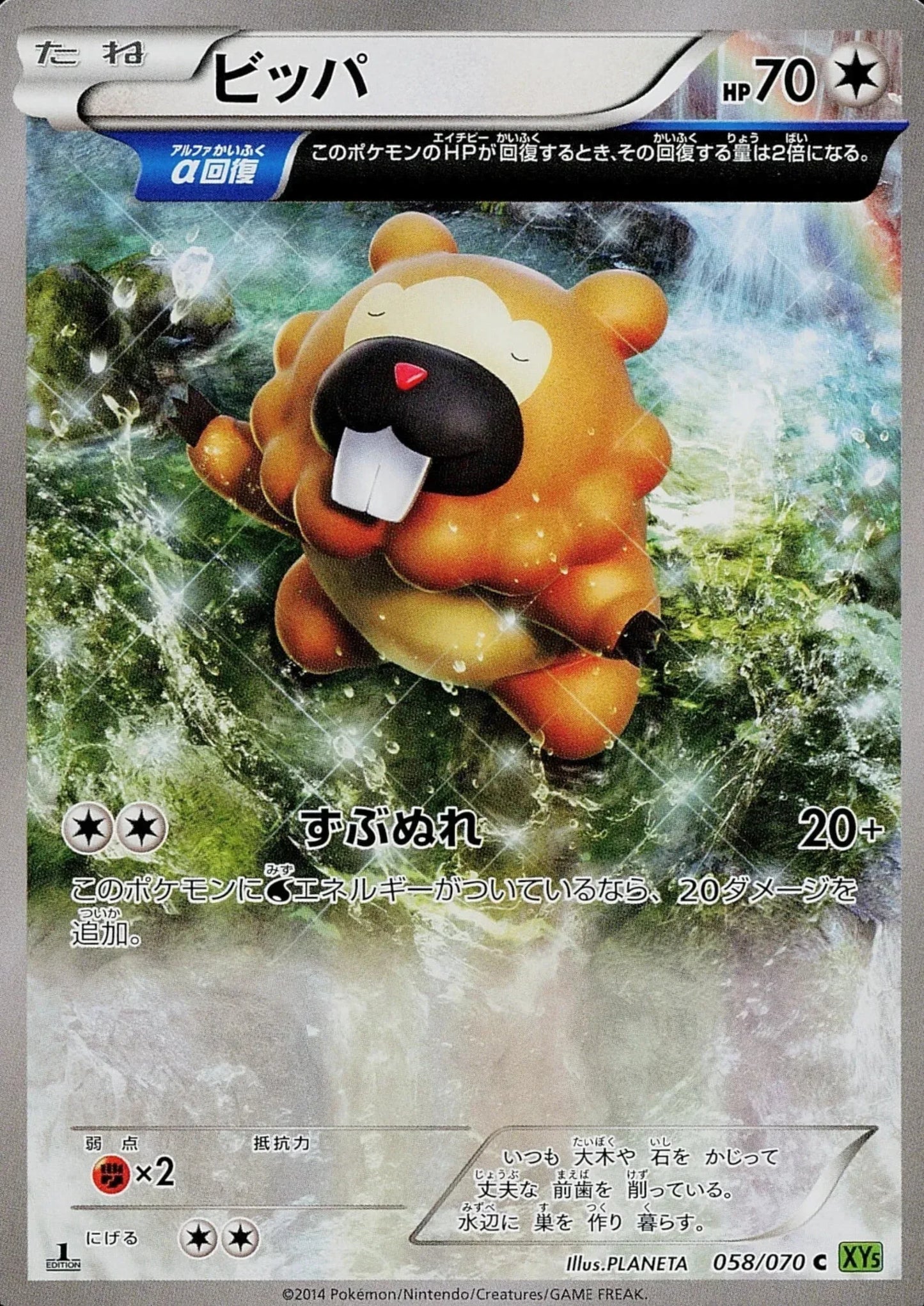Bidoof 058/070 C | Tidal Storm XY5 - ChitoroShop