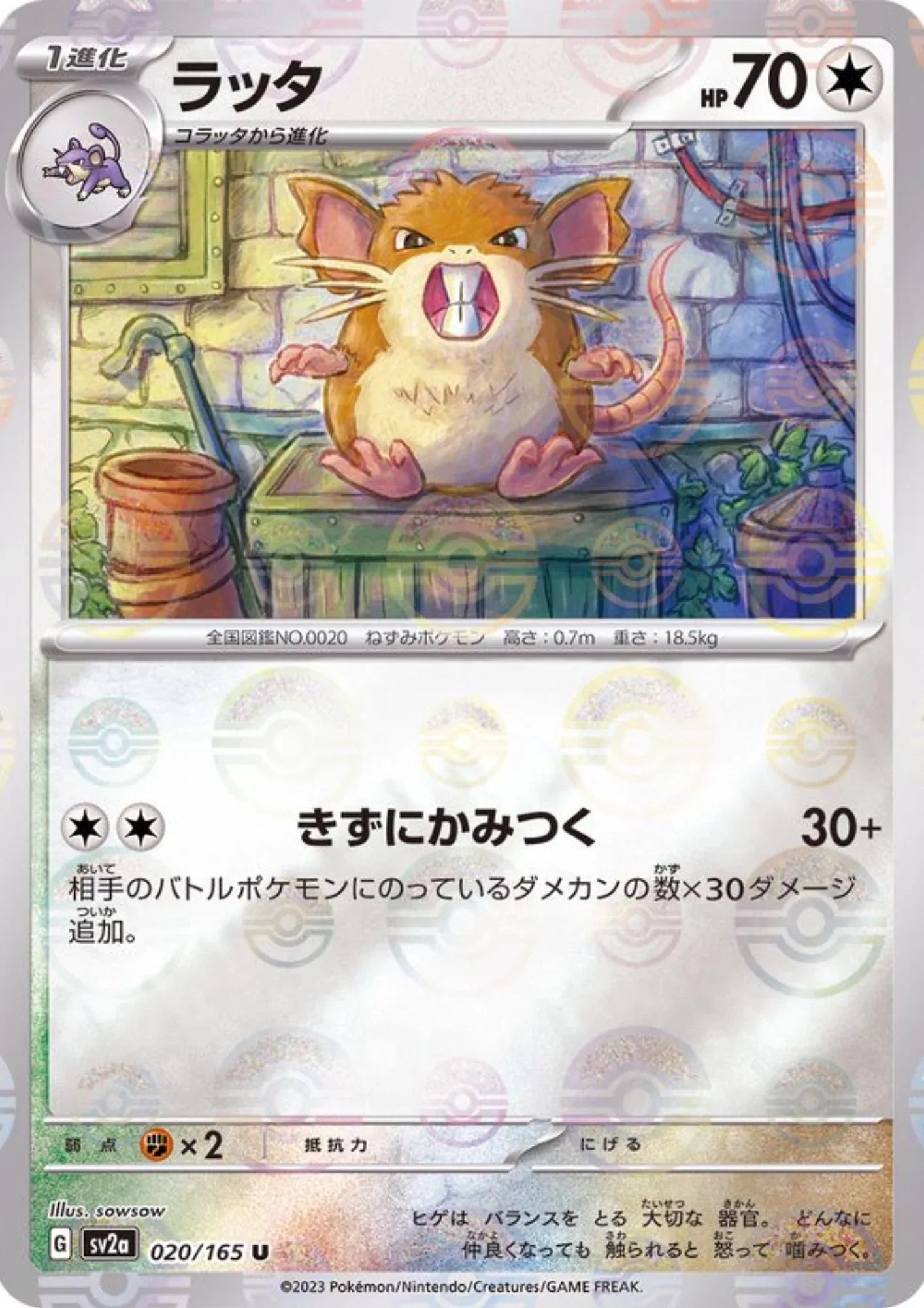 Raticate 020/165 (Monster Ball Reverse) | SV2a Pokémon 151 - ChitoroShop