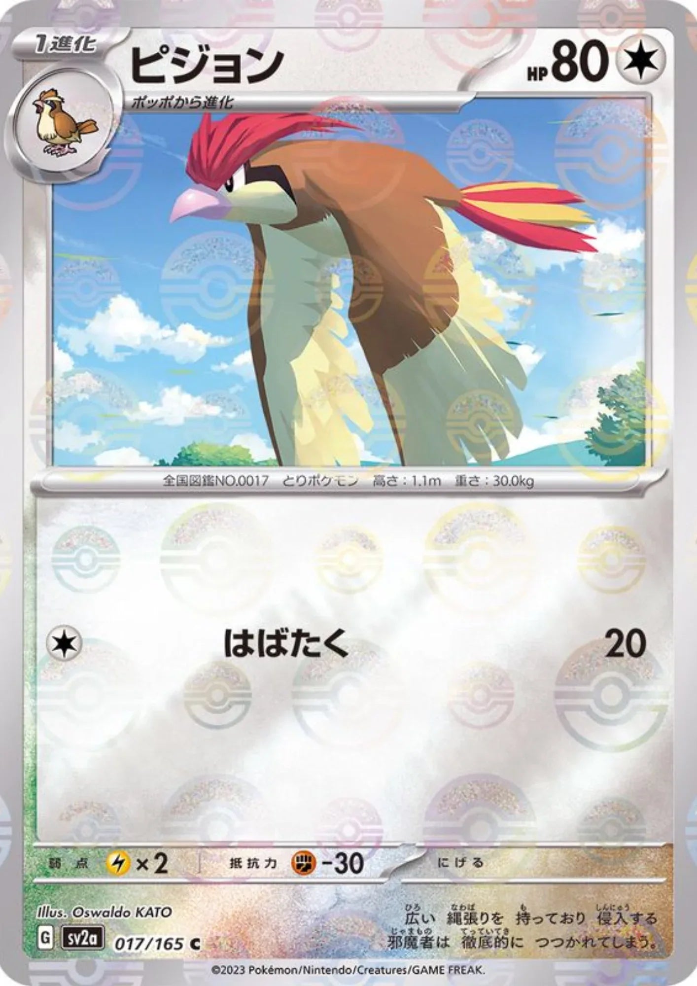 Pidgeotto 017/165 (Monster Ball Reverse) | SV2a Pokémon 151 - ChitoroShop