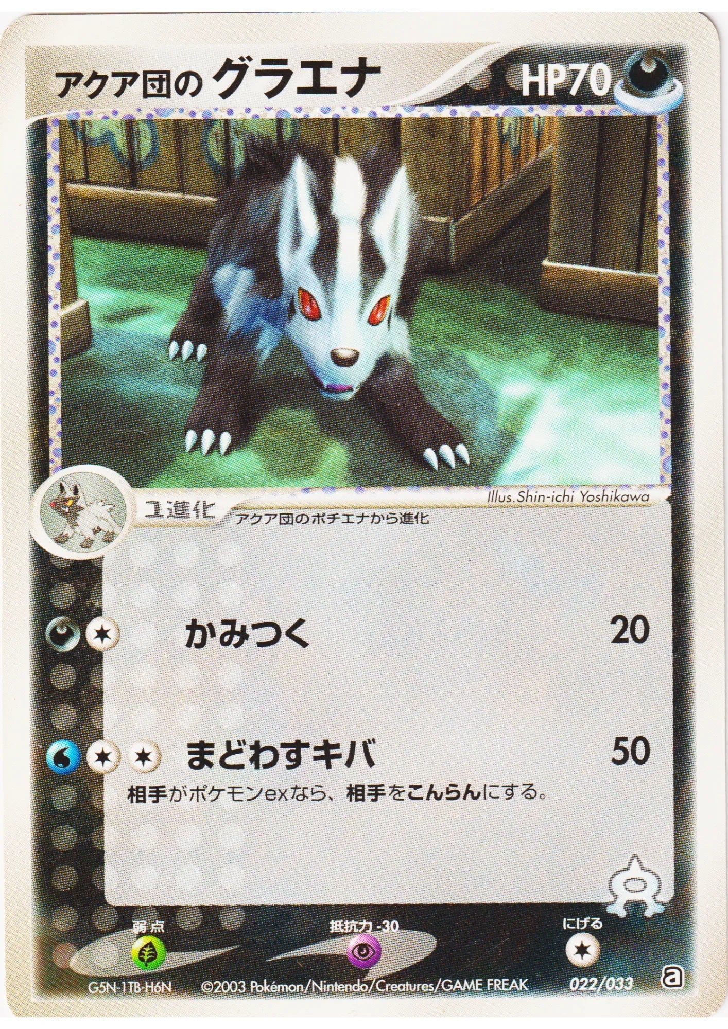 Team Aqua's Mightyena 023/033 | Aqua Deck Kit - ChitoroShop