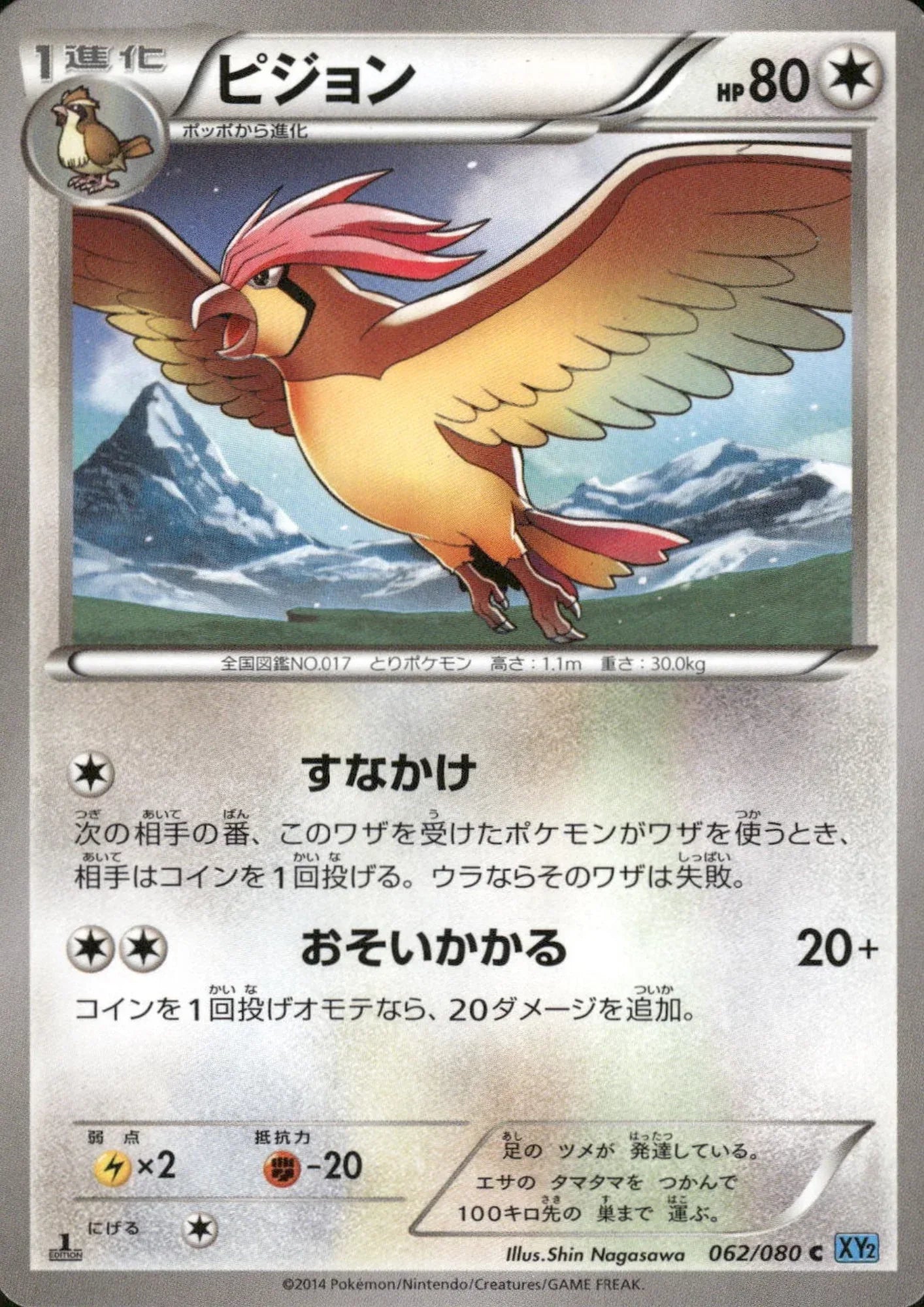 Pidgeotto 062/080 C | XY2 Wild Blaze - ChitoroShop