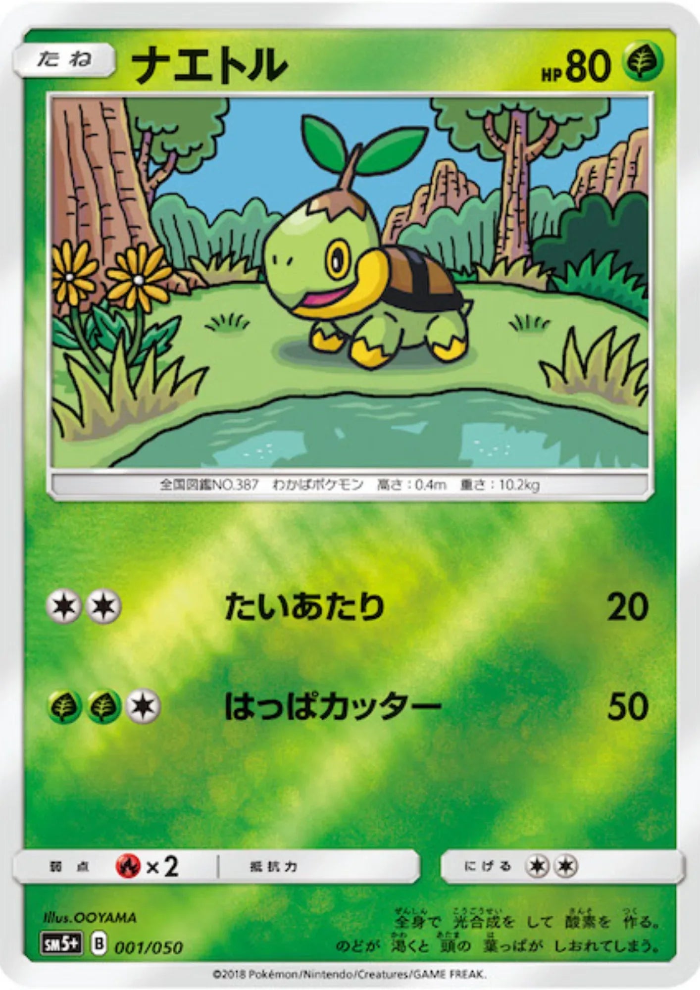 Turtwig 001/050 (Reverse) | Ultra Force SM5+ - ChitoroShop