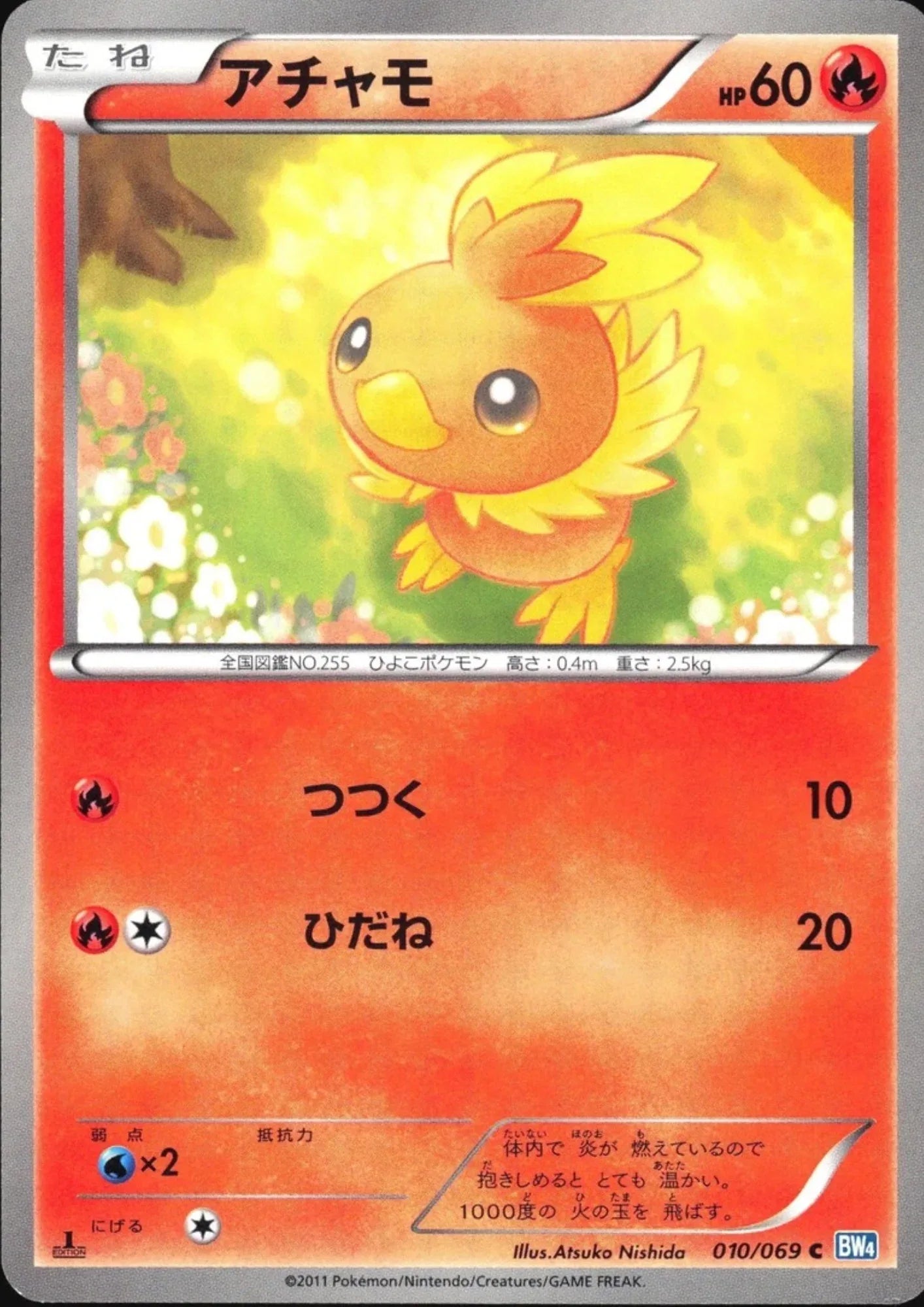 Torchic 010/069 C | Dark Rush BW4 - ChitoroShop