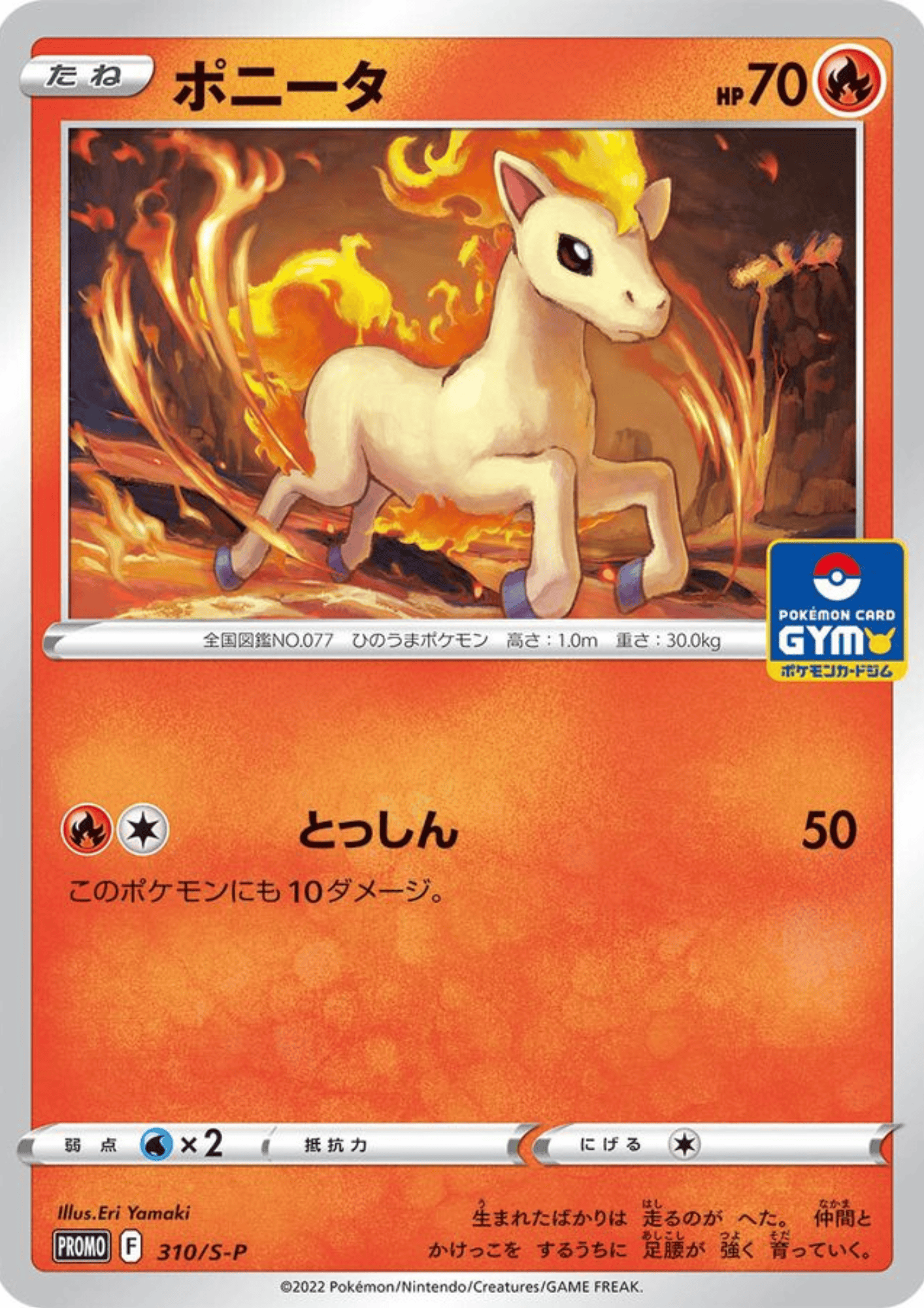 Ponyta 310/S-P | Sword & Shield Promo
