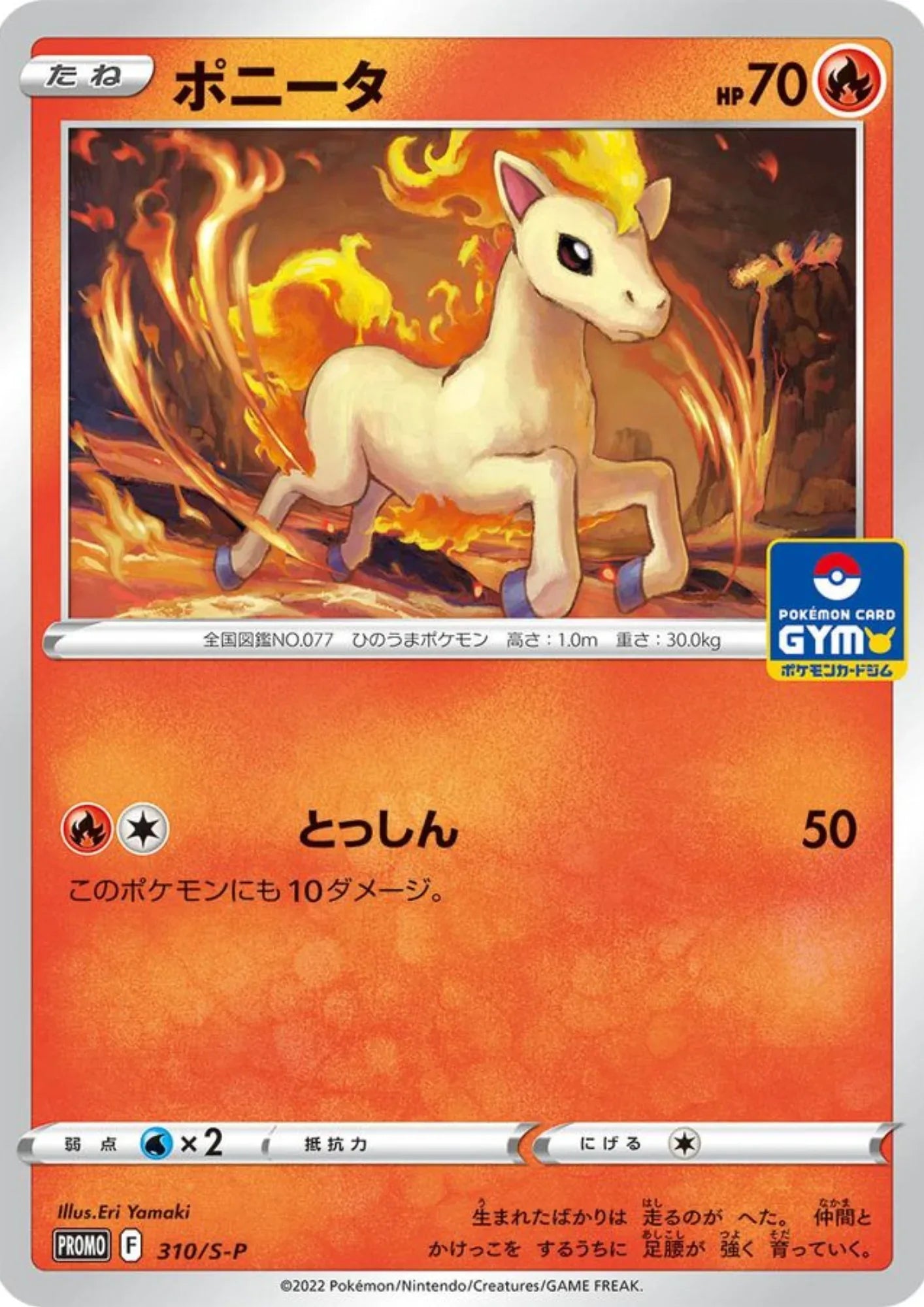 Ponyta 310/S-P | Sword & Shield Promo - ChitoroShop