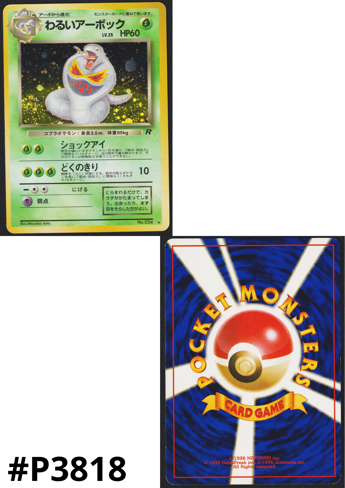 Dark Arbok No.024 | Rocket Gang