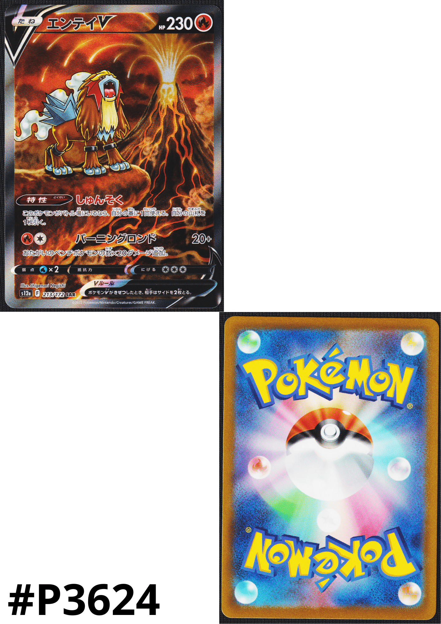Entei V 213/172 SAR | Pokémon VSTAR Universe s12a