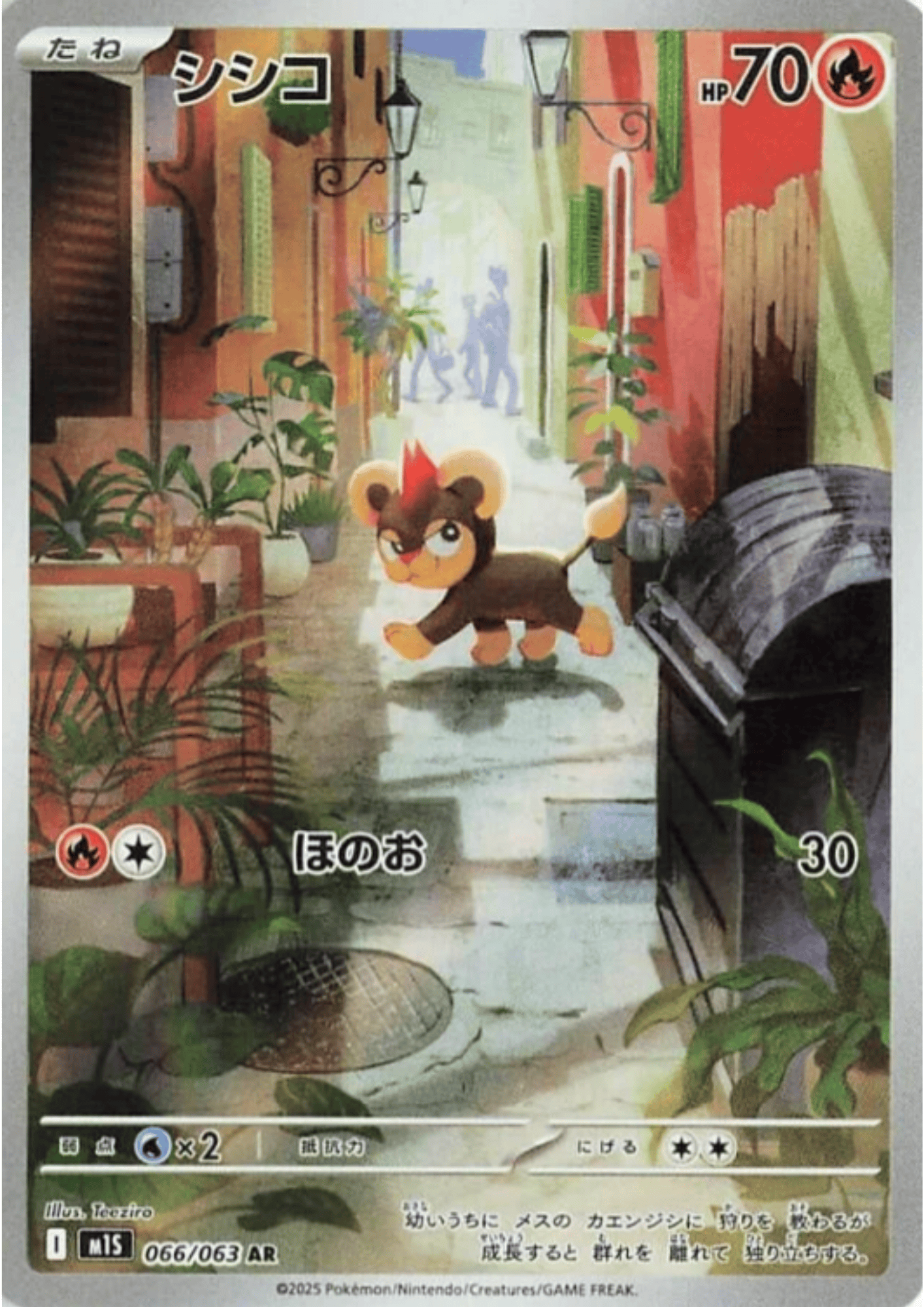 Litleo 066/063 AR | M1S Mega Symphonia