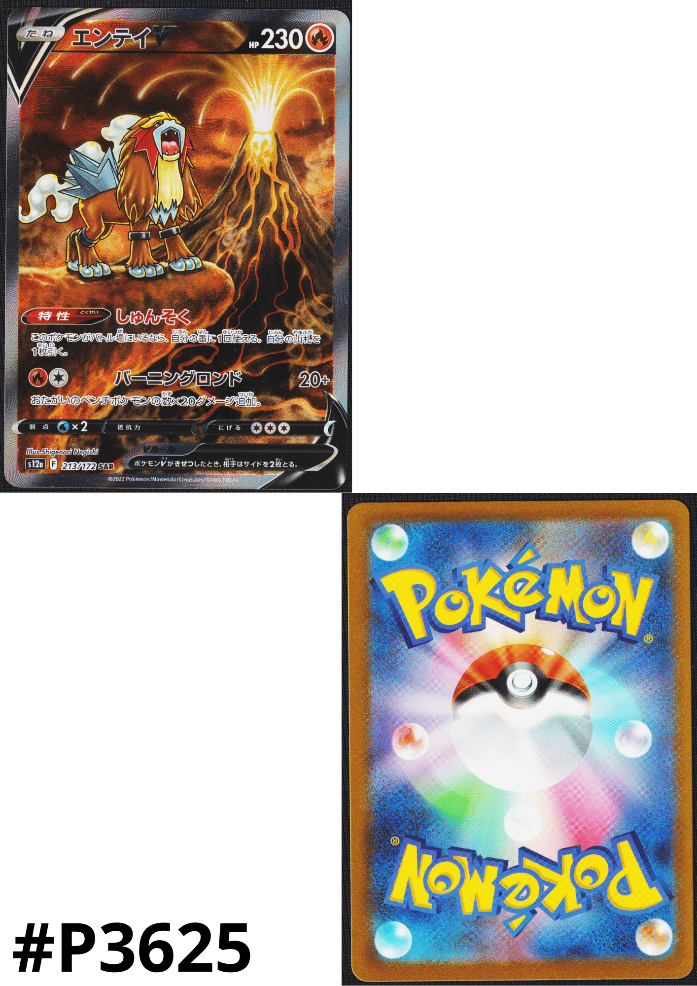 Entei V 213/172 SAR | Pokémon VSTAR Universe s12a