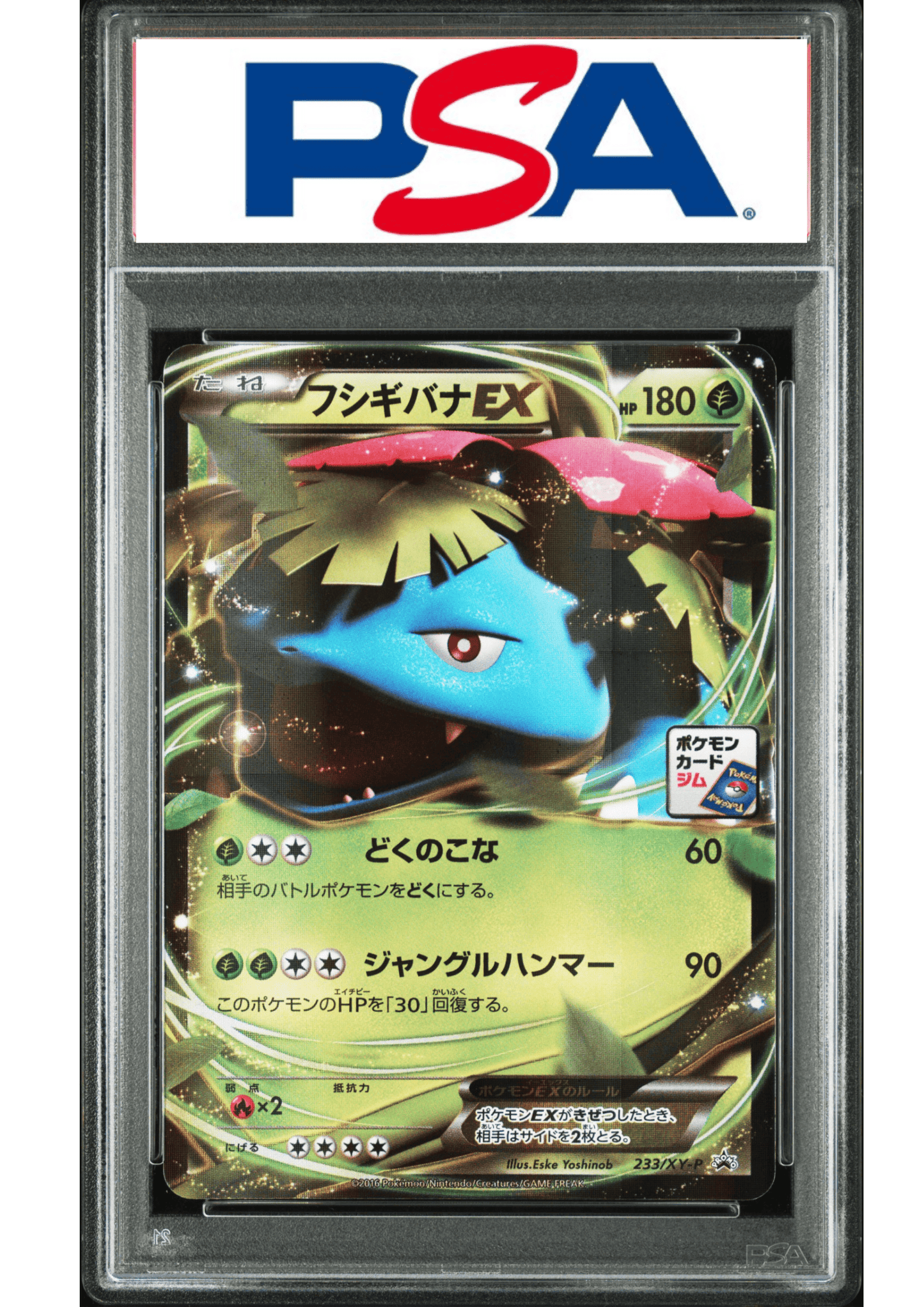 Venusaur 233 XY-P | Gym Stamp Promo | PSA