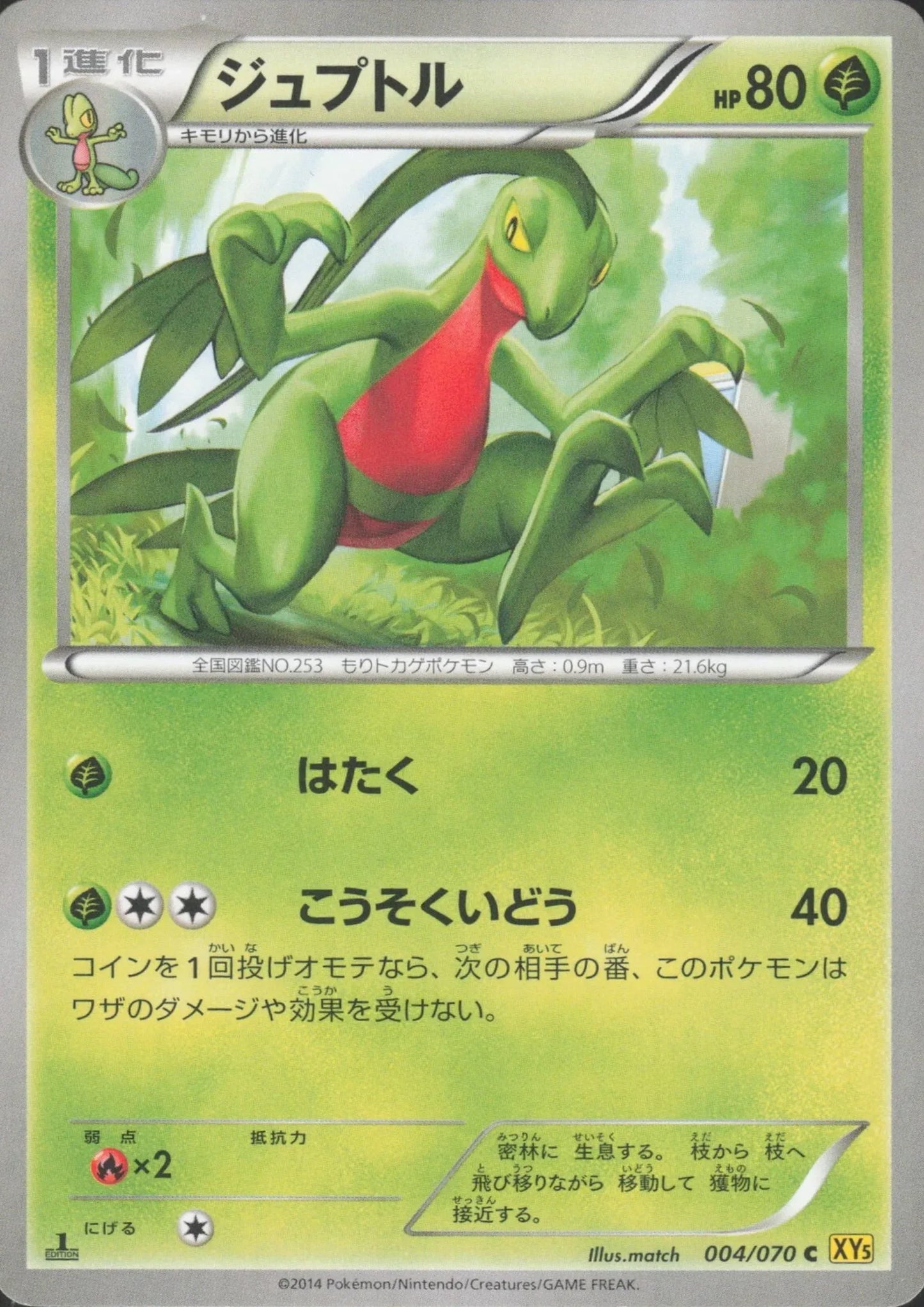 Grovyle 004/070 C | Gaia Volcano XY5 - ChitoroShop