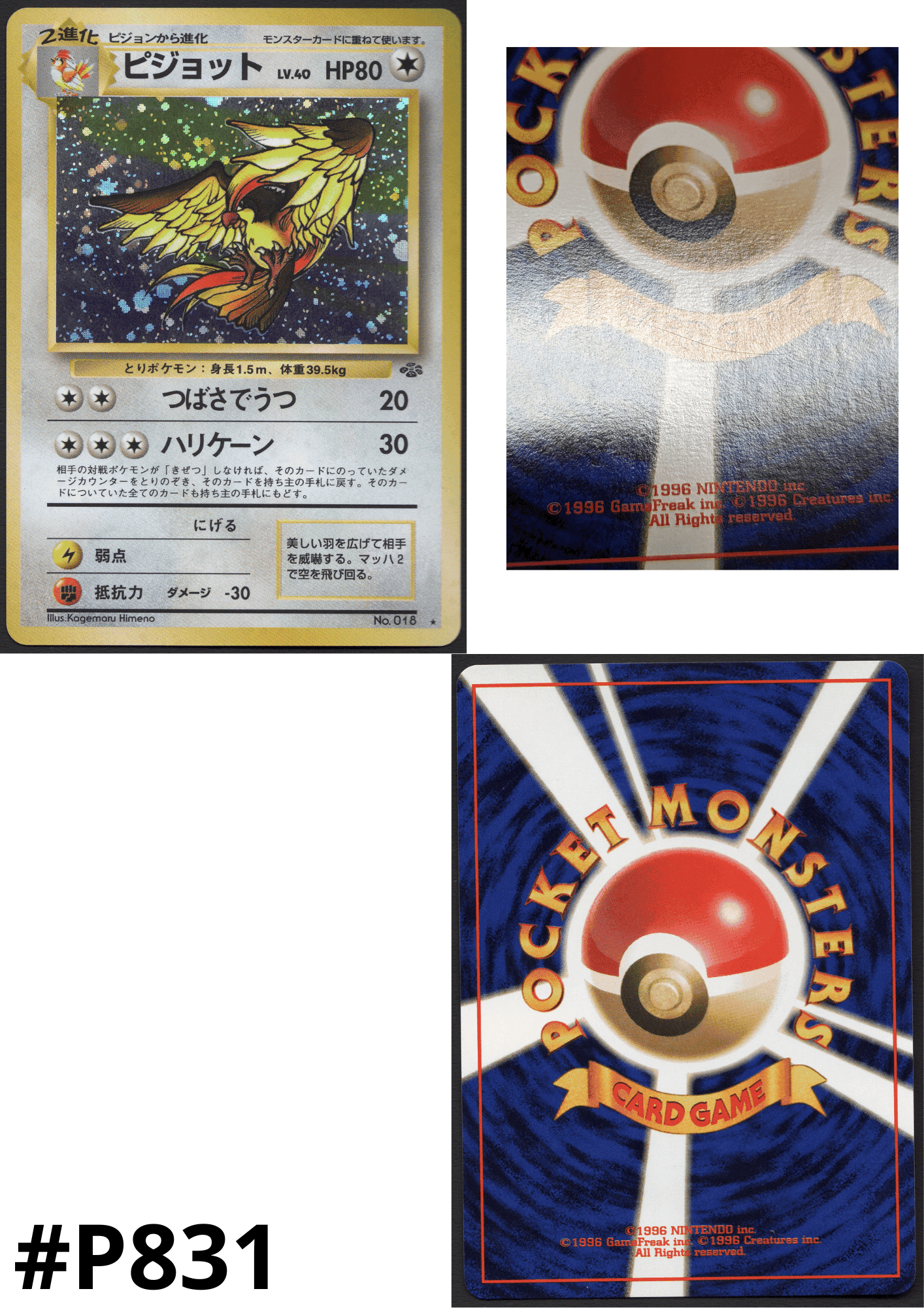 Pidgeot No.018 | Jungle ChitoroShop