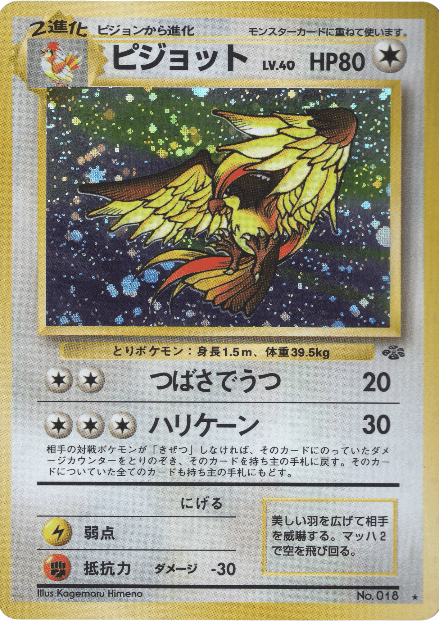 Pidgeot No.018 | Jungle ChitoroShop