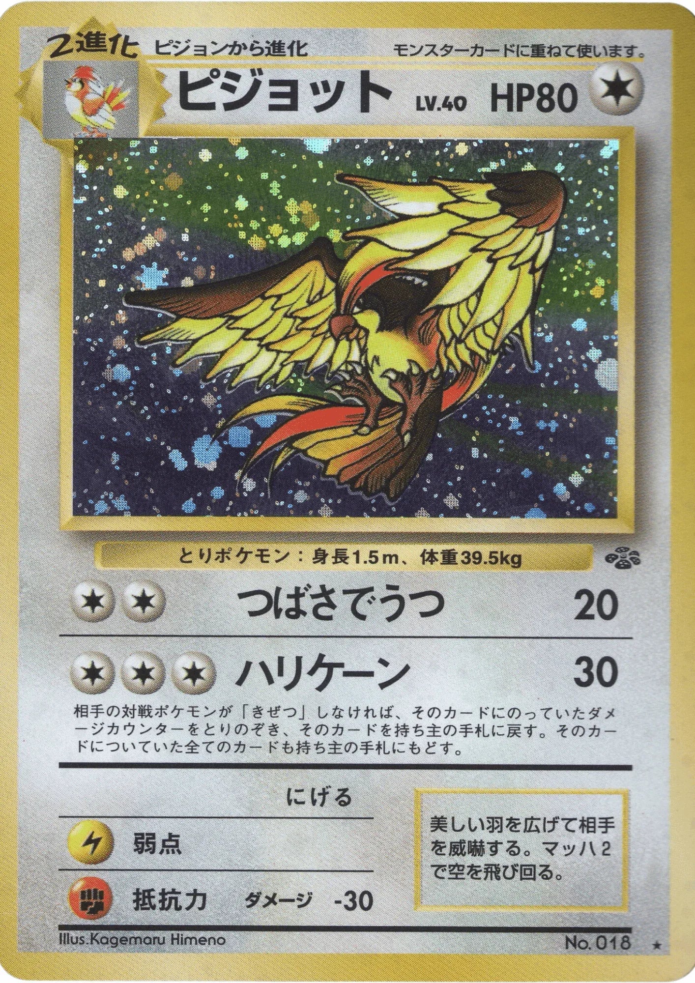 Pidgeot No.018 | Jungle ChitoroShop Pidgeot No.018 | Jungle ChitoroShop