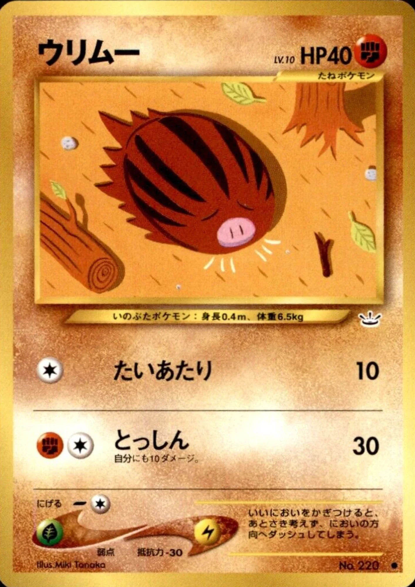 Swinub No.220 | Neo revelation - ChitoroShop