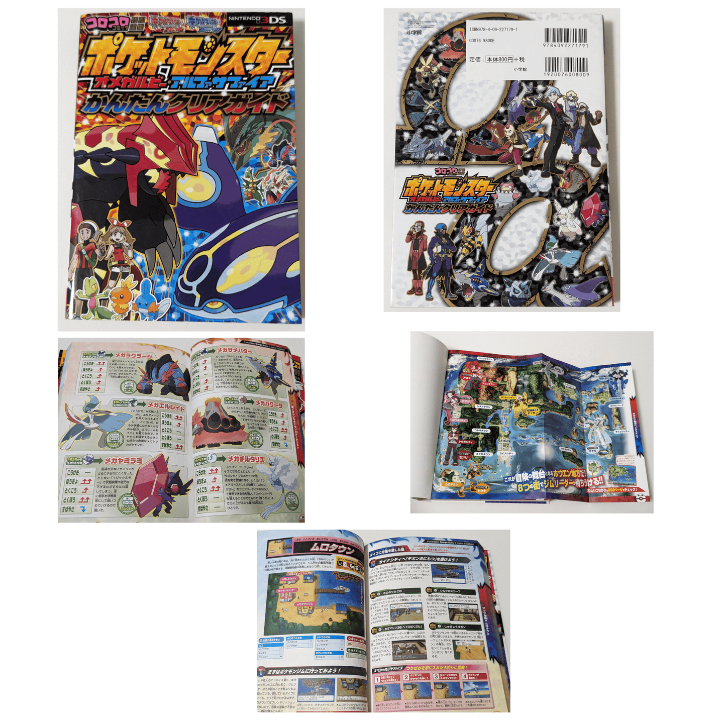 Pokemon Omega Ruby / Alpha Sapphire Strategy Guide book | Nintendo 3DS