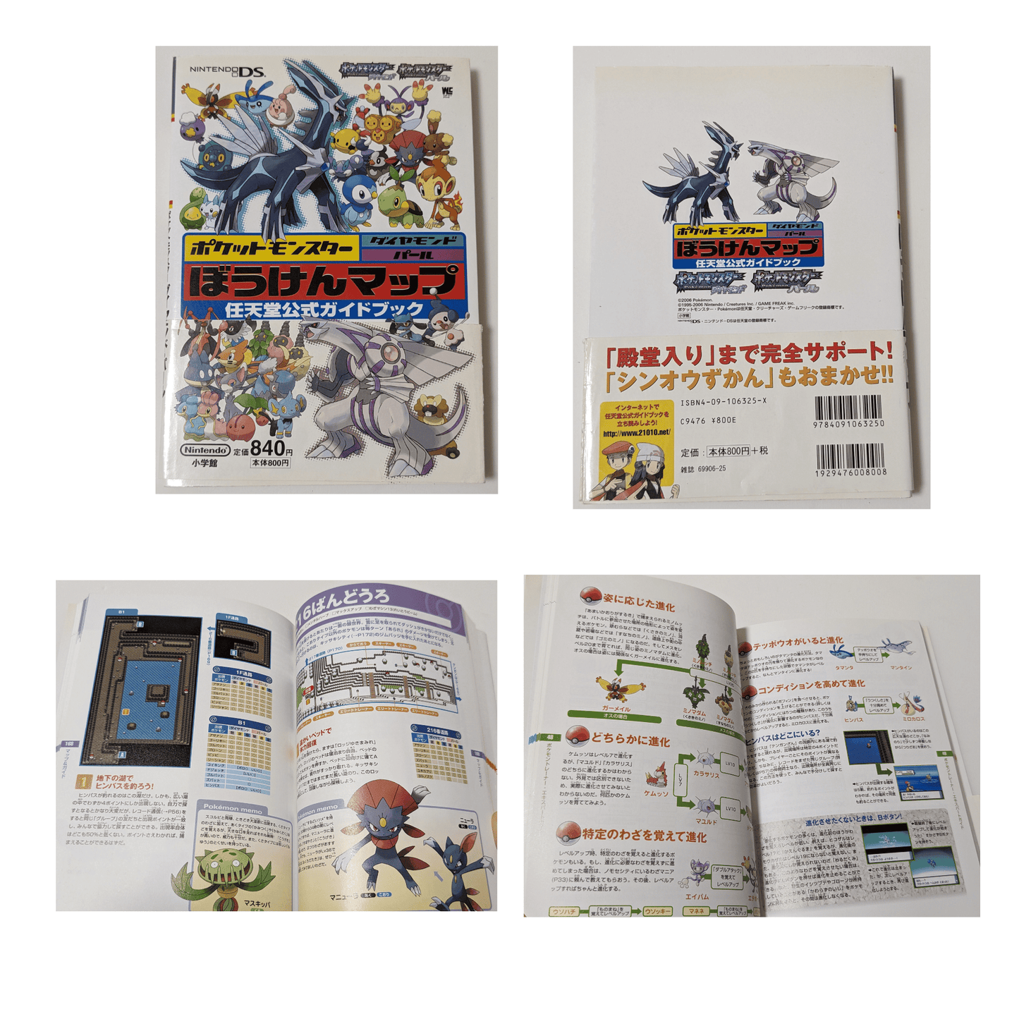 Pokemon Diamond / Pearl Adventure Map trategy Guide book | Nintendo DS
