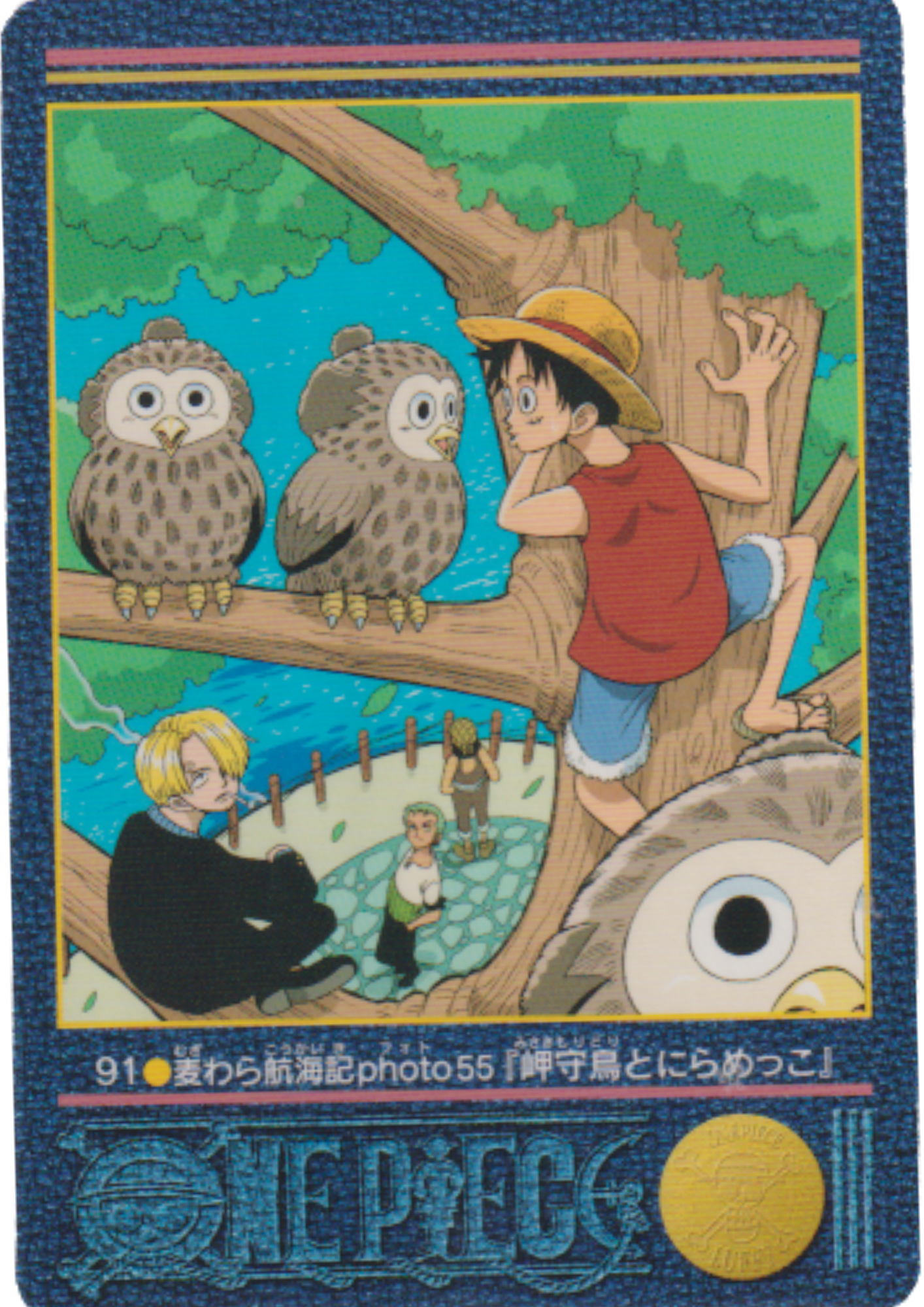 One Piece Visual Adventure No.91