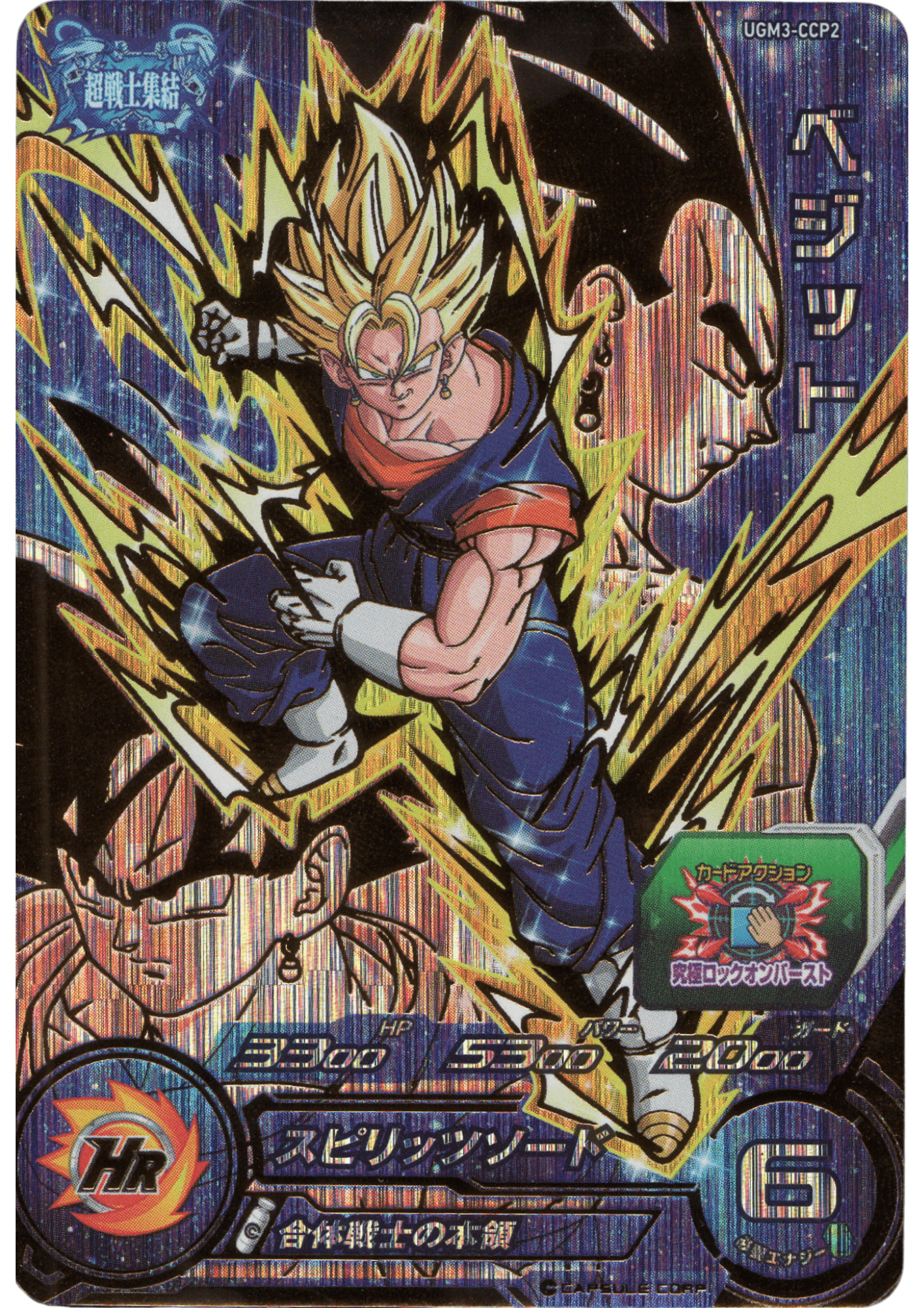 Vegetto UGM3-CCP2 | SDBH |