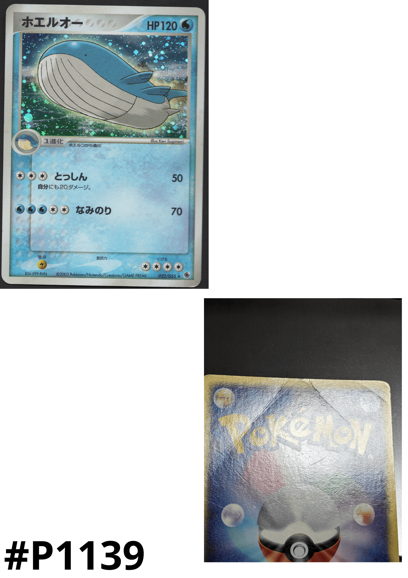 Wailord 022/055 | ADV Expansion Pack
