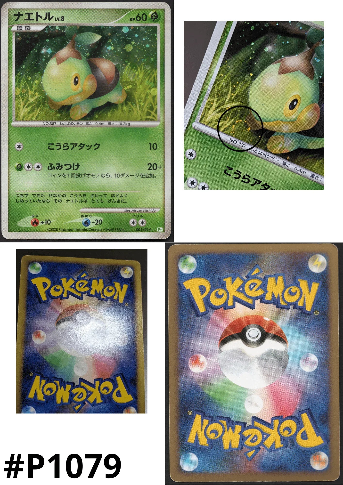 Turtwig 001/014 | Turtwig Half Deck Pt - ChitoroShop