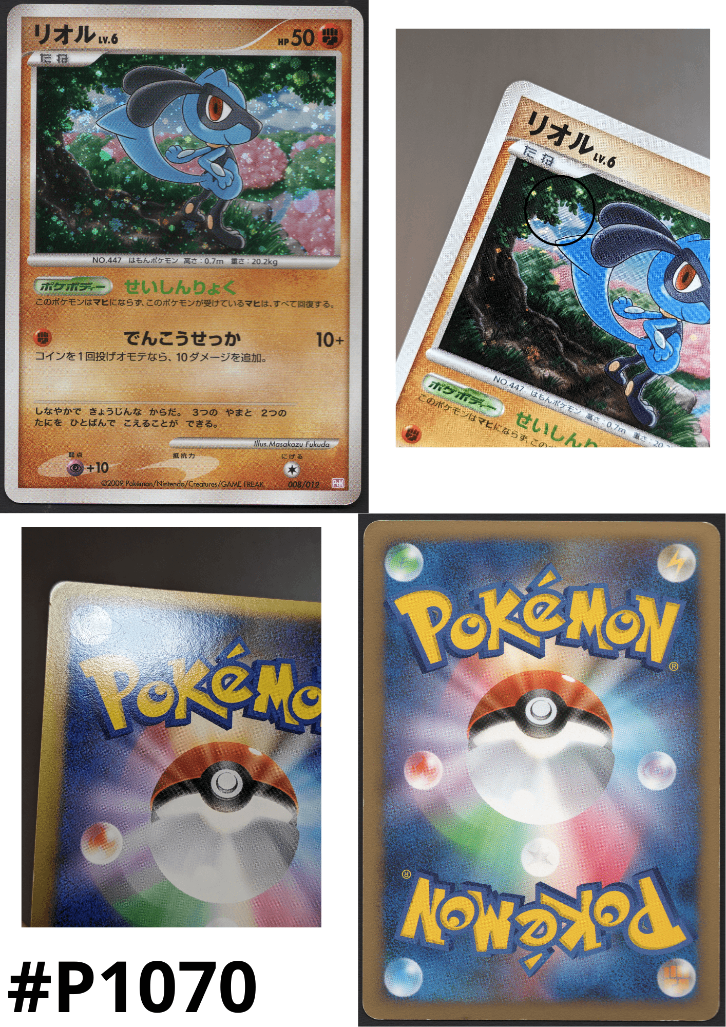 Riolu 008/012 | PtM