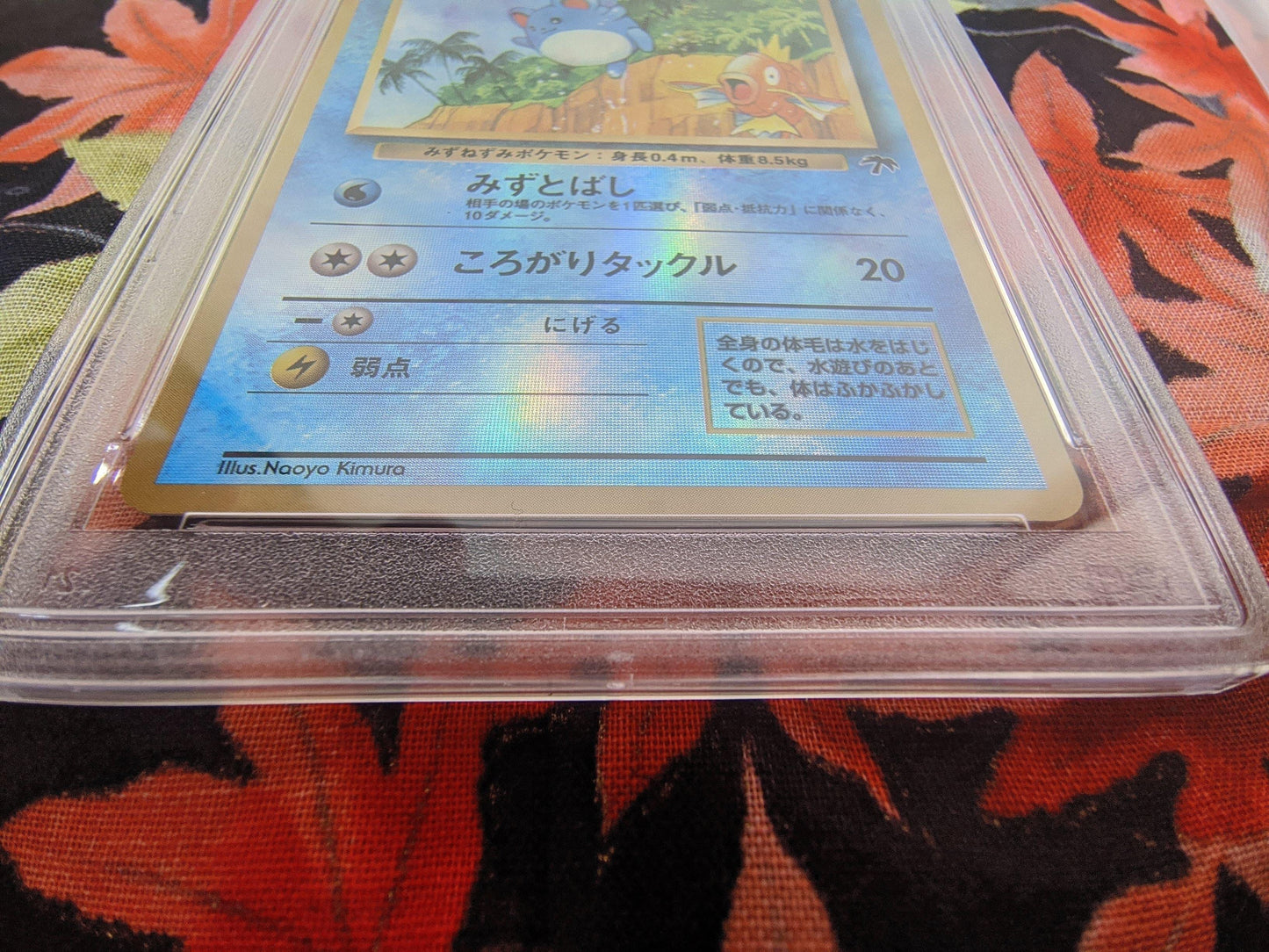 SOUTHERN ISLAND Marill - PSA9 ChitoroShop