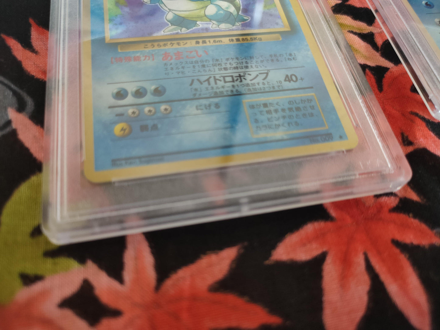 Tortank Base set - PSA 6 ChitoroShop