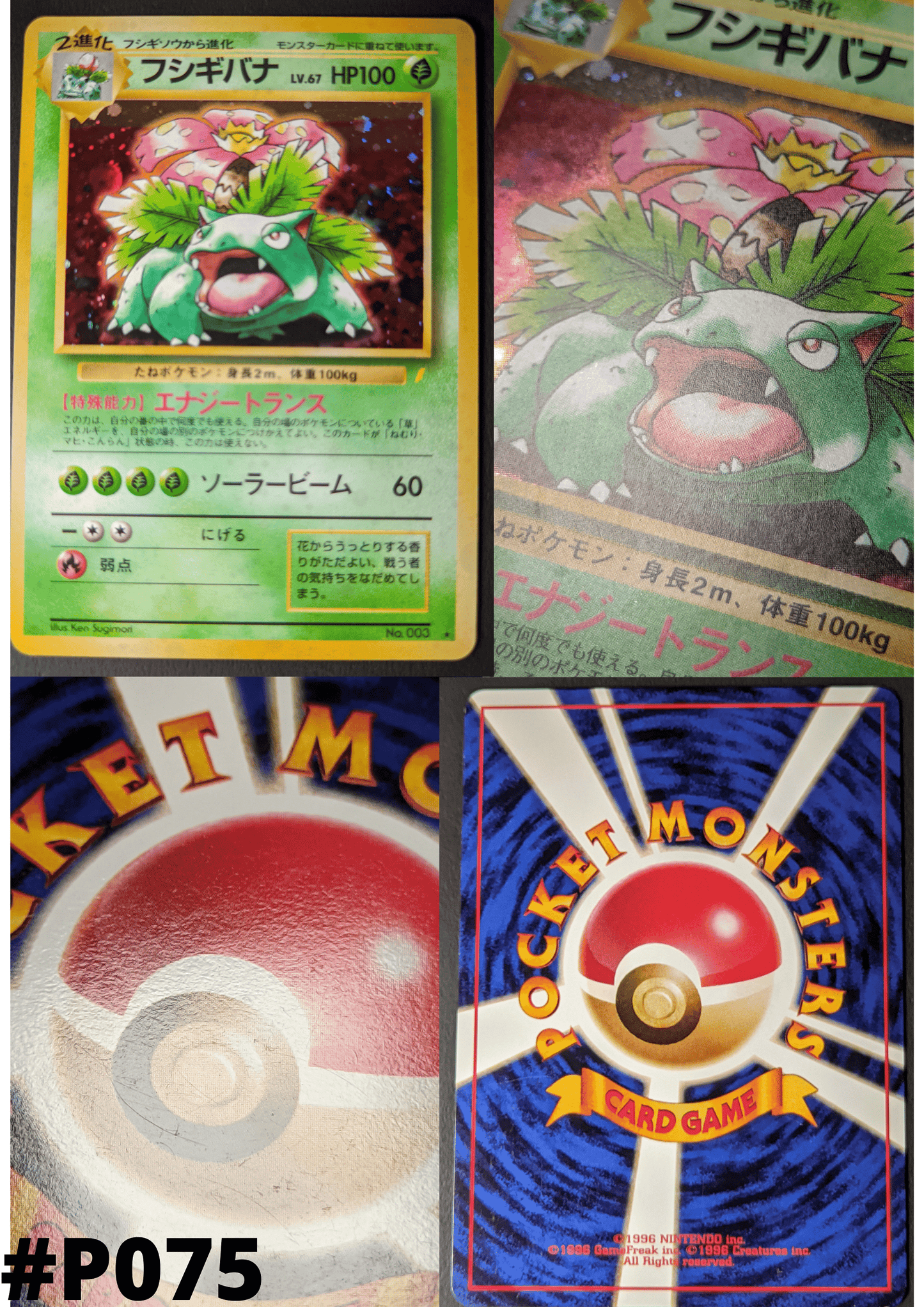 Venusaur No.003 | CD promo ChitoroShop