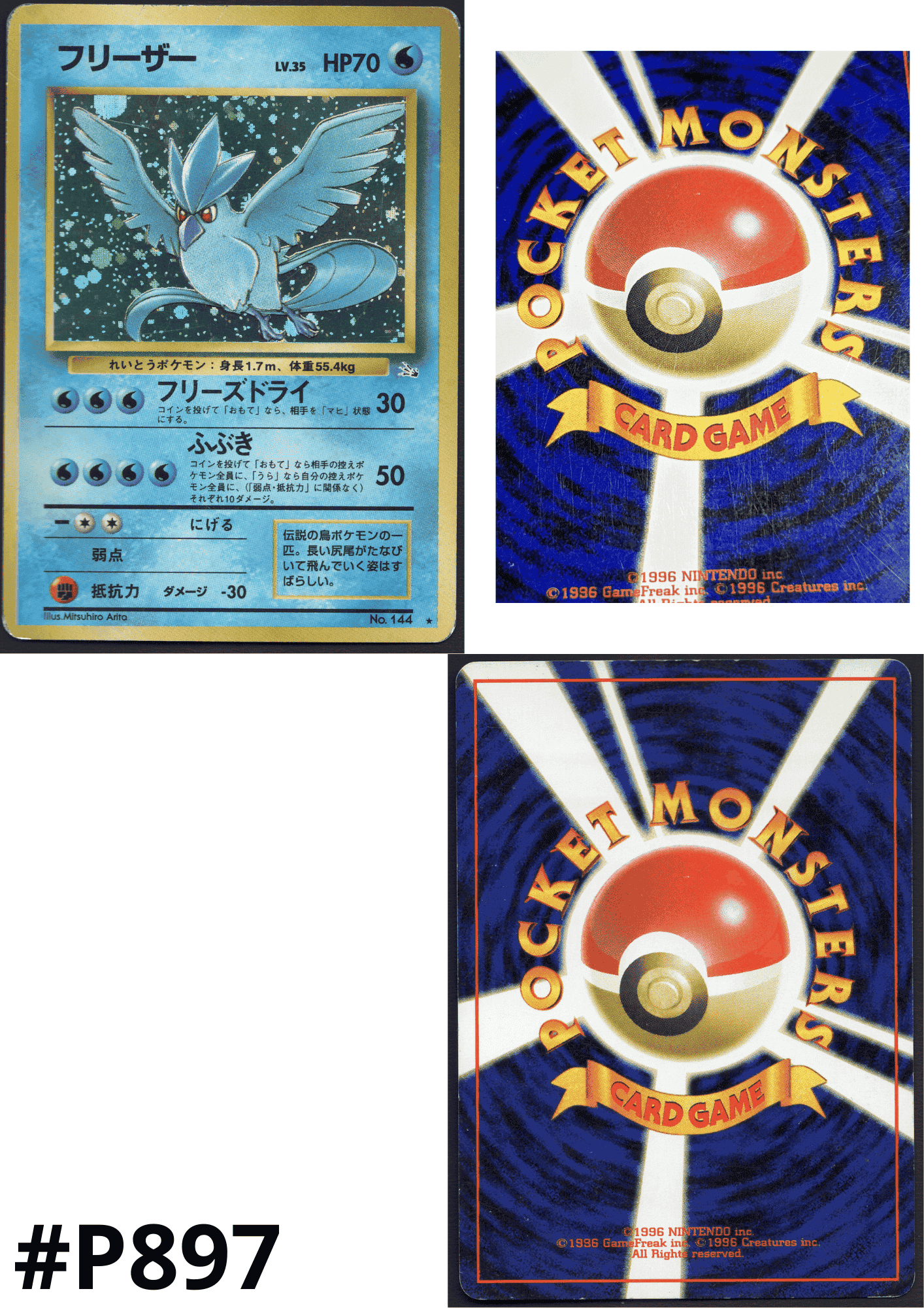 Articuno No.144 | Fossil ChitoroShop