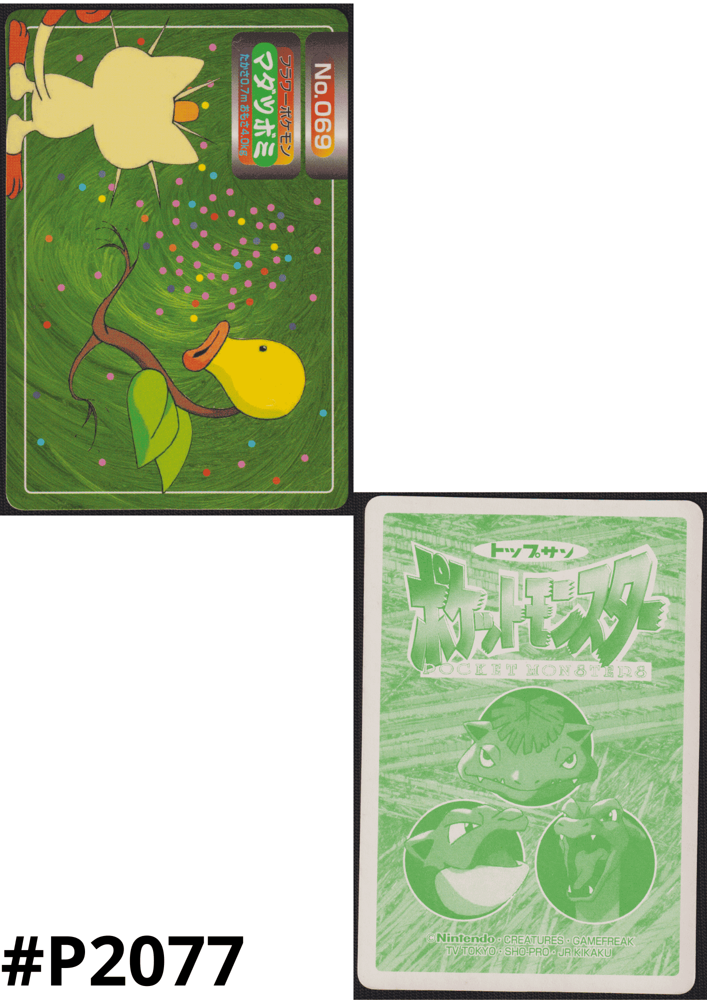 Glockensprossen Nr.069 | Topsun gegen ChitoroShop