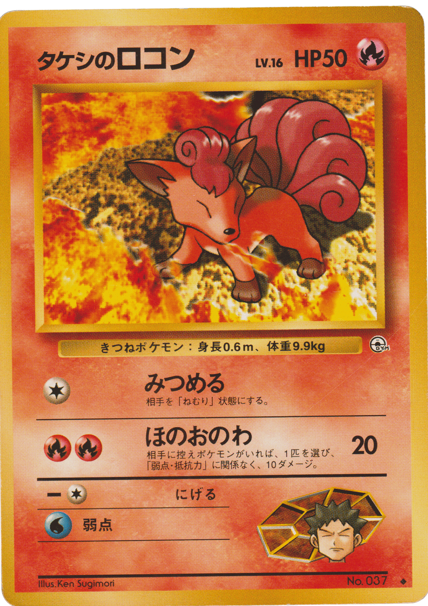 Brock's Vulpix No.037 |Leader Stadium ChitoroShop