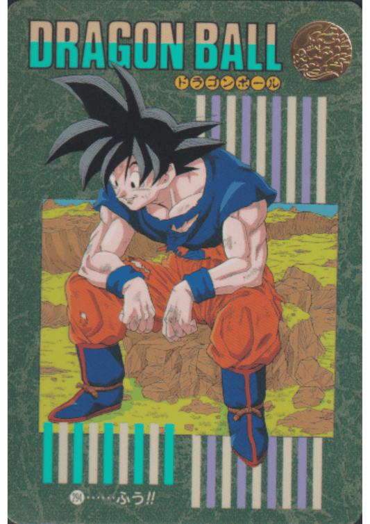 Dragon Ball Visual Adventure 294