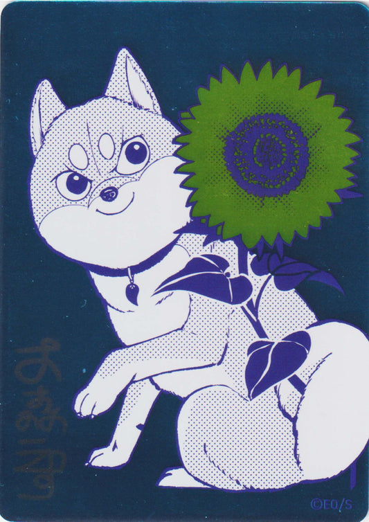 Shiba Inu Rooms - Shueisha Summer Comics Fair 2026 (NatsuComi)