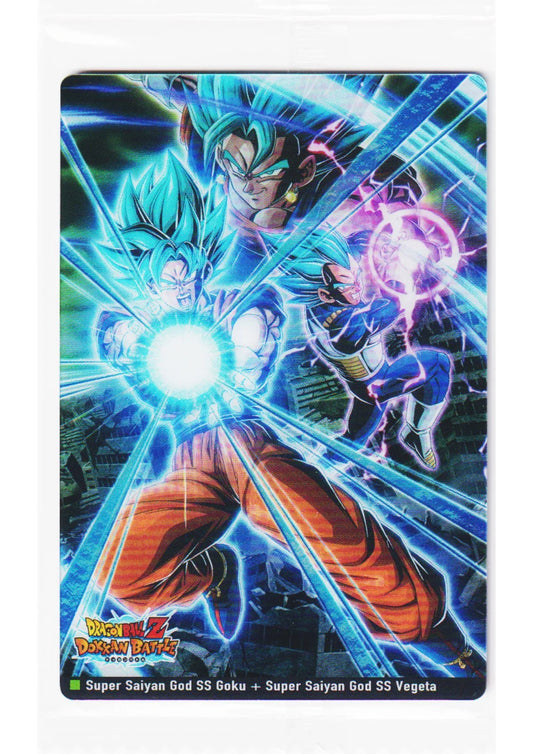 Super Saiyan God SS Goku + Super Saiyan God SS Vegeta 9-08 DR | Itajaga Dragon Ball Vol.9 - ChitoroShop