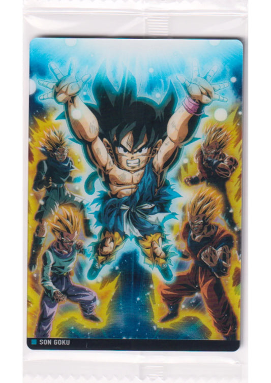 Son Goku 9-24 R | Itajaga Dragon Ball Vol.9 - ChitoroShop