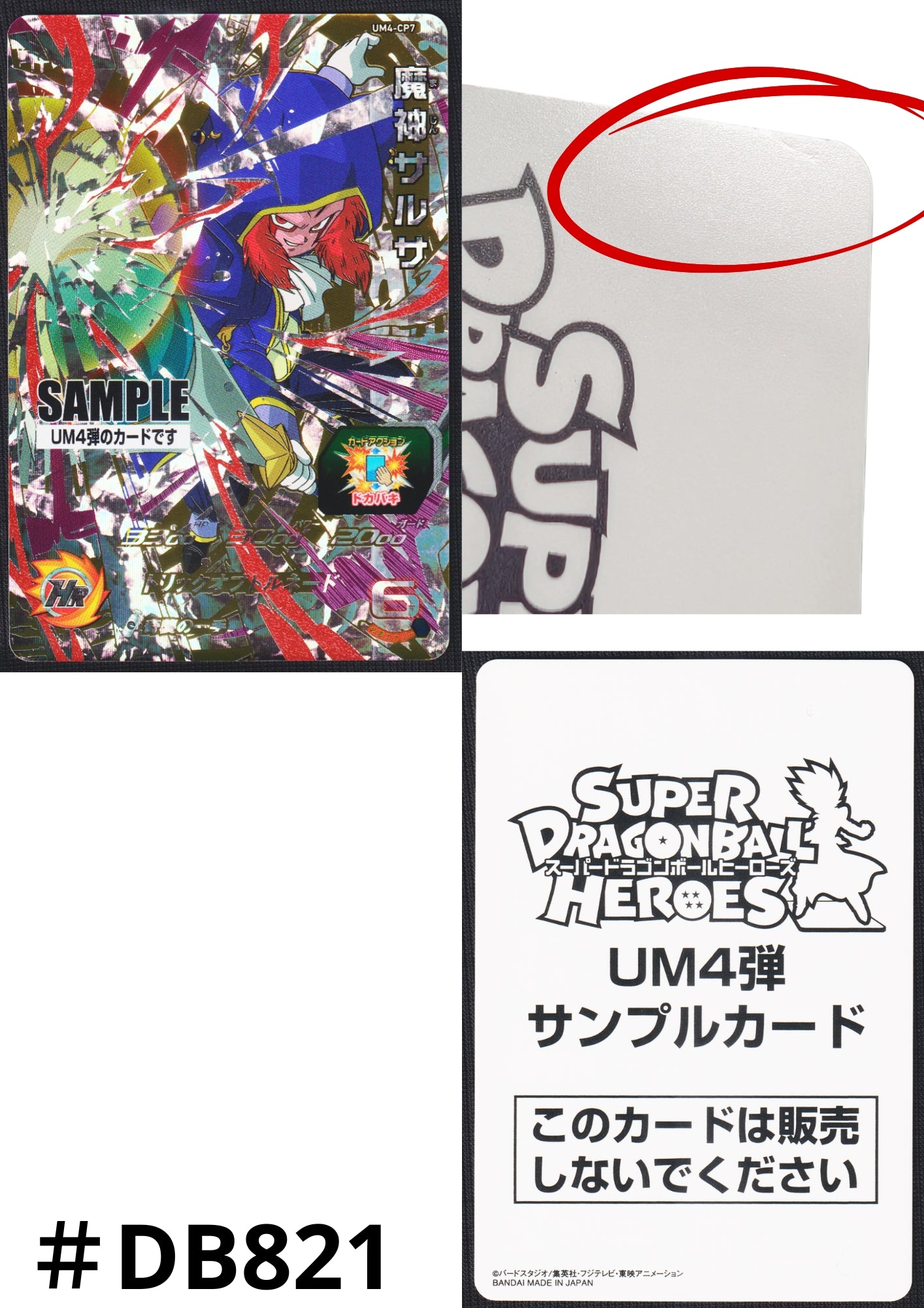Salsa UM4-CP7 - Sample Card | SDBH Promo