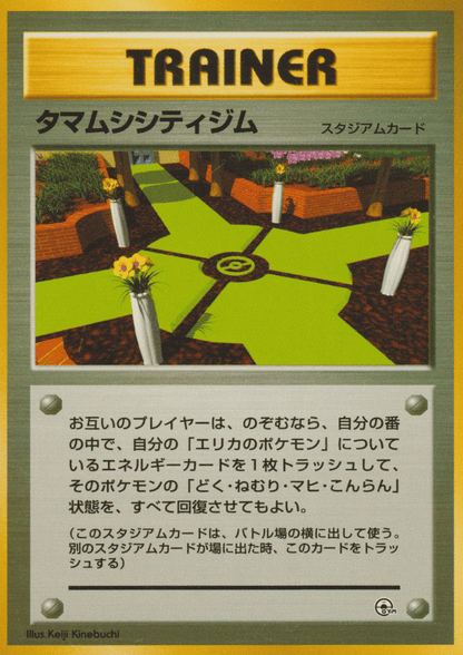 Celadon City Gym | Leader Stadium ChitoroShop